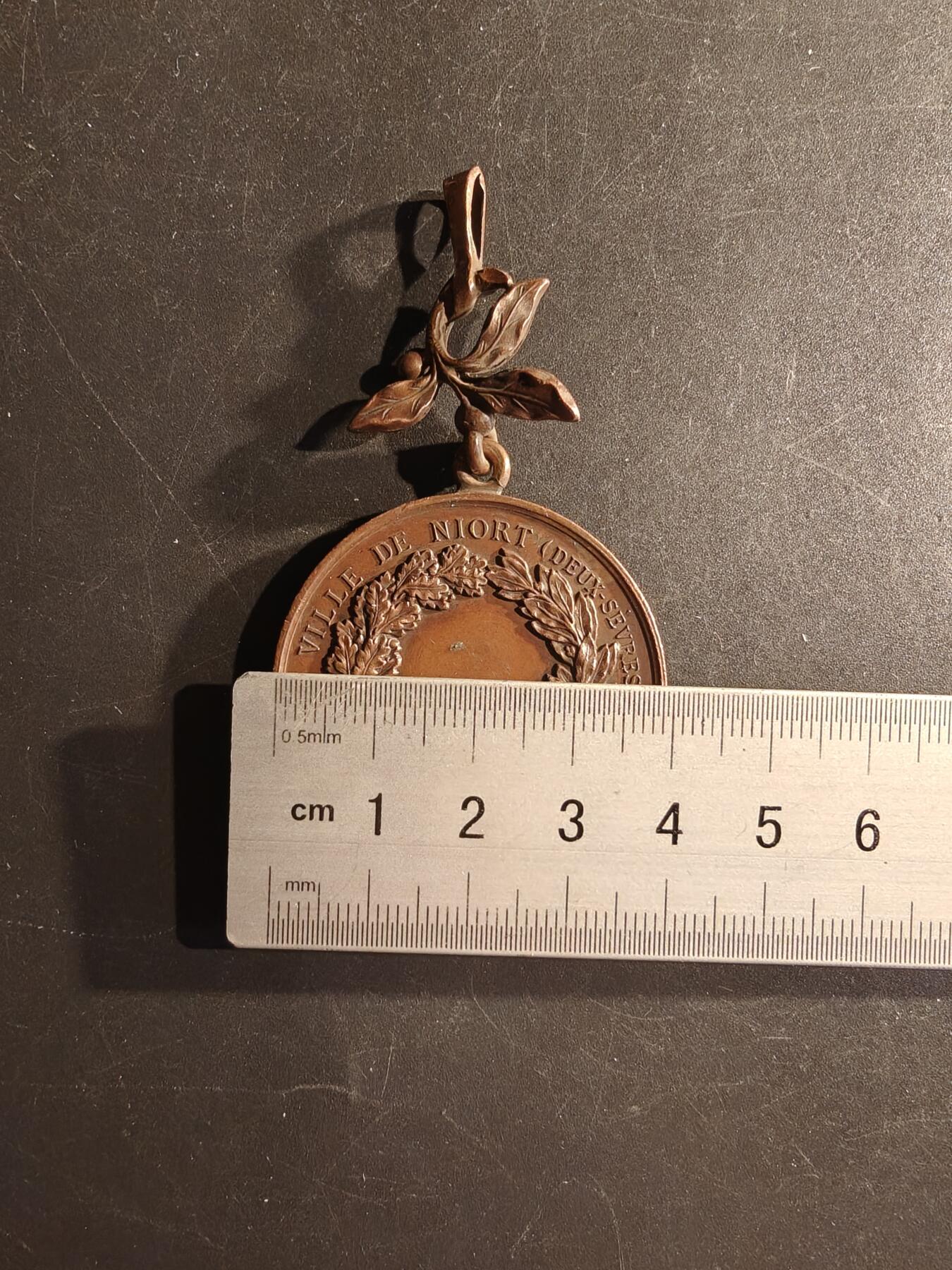 老王徽章第167期 法国尼奥尔市畜牧业大尺寸铜奖章     直径39mm.    重量32.1g