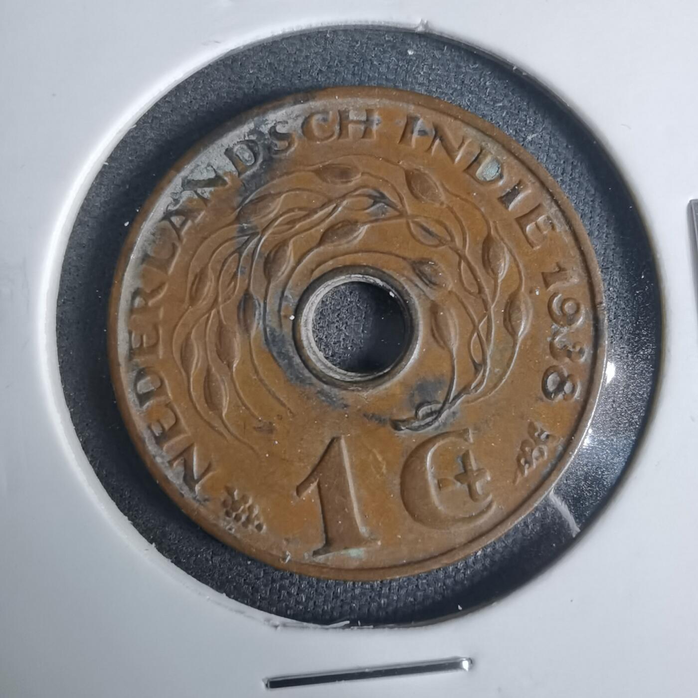 沼泽如烟--第919场