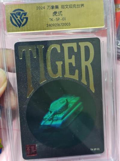 第十五期（周日截拍）惊喜不断看简介 - 2024 万象集 指文坦克世界虎式
TK-SP-01 十分厉害