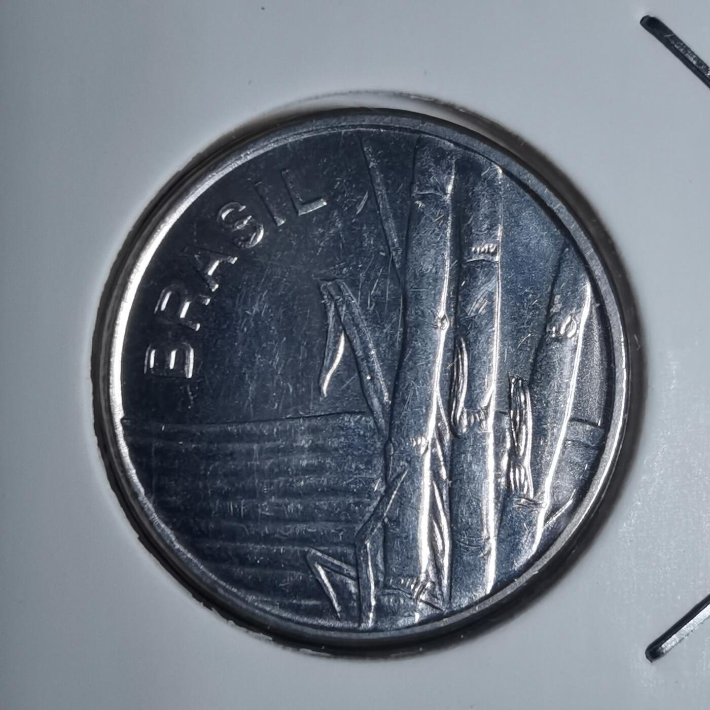 沼泽如烟--第920场 巴西1981年1克鲁塞罗