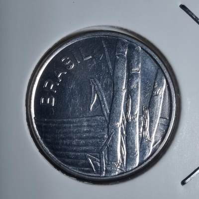 沼泽如烟--第920场 - 巴西1981年1克鲁塞罗