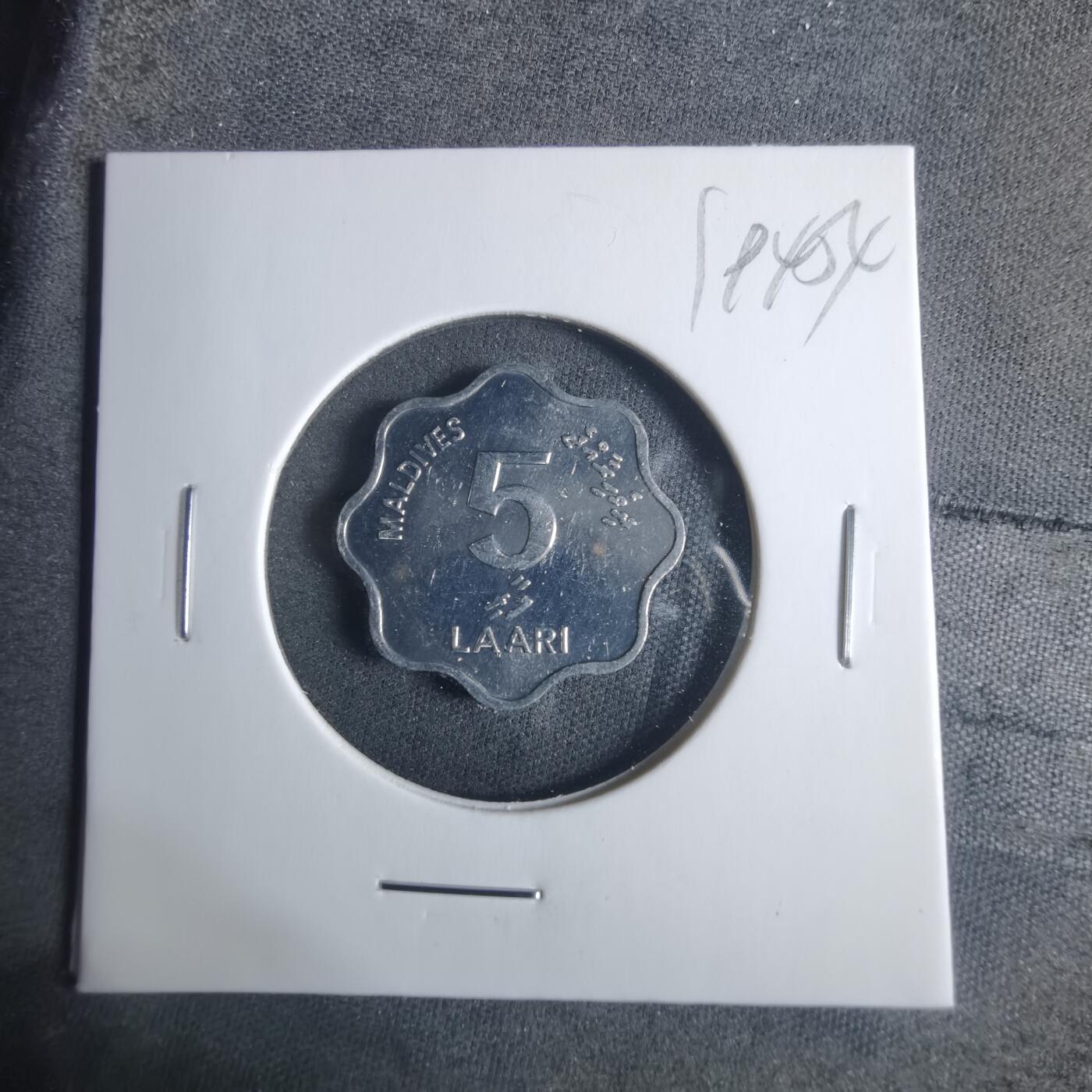 沼泽如烟--第919场