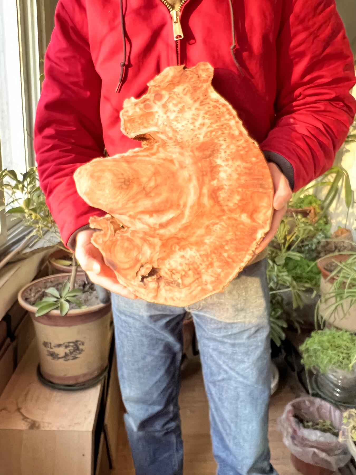 零元拍：香杉木老根榴茶盘，尺寸约：390/340/35MM，满花，药香满鼻，因为没有上漆，干燥天气可能会产生裂纹，属于正常现象