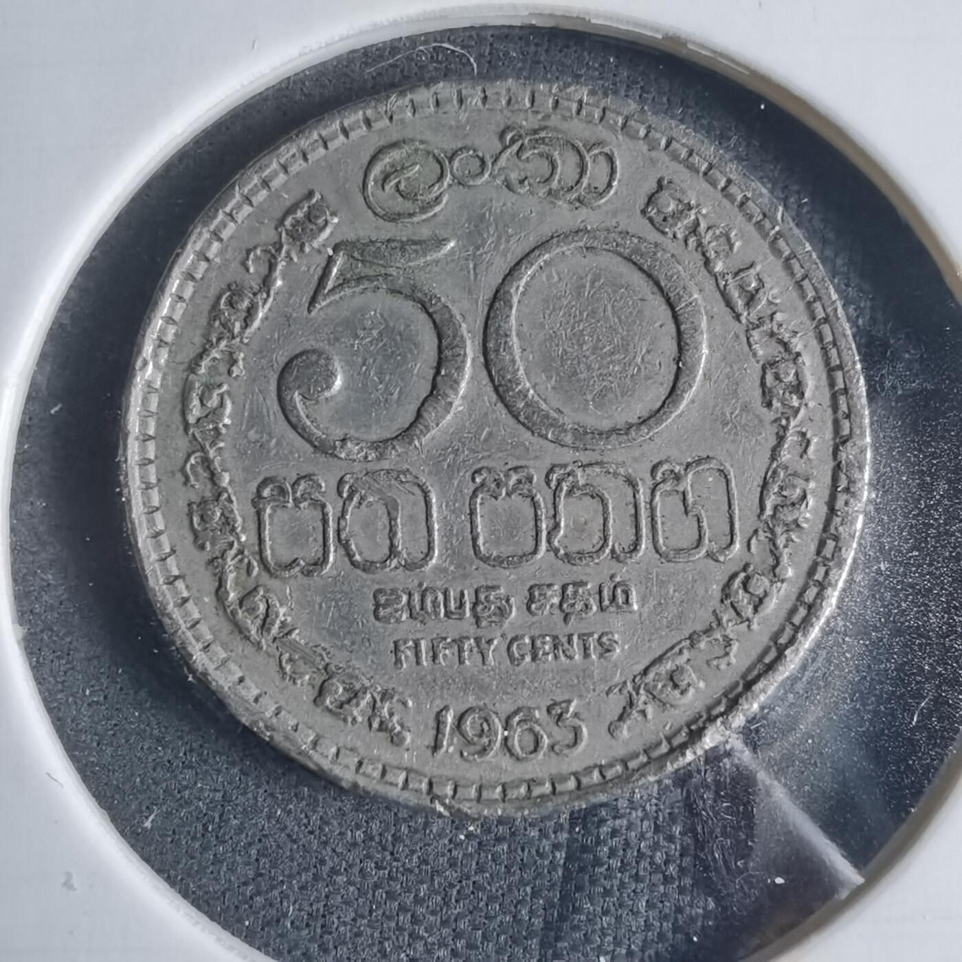 沼泽如烟--第919场