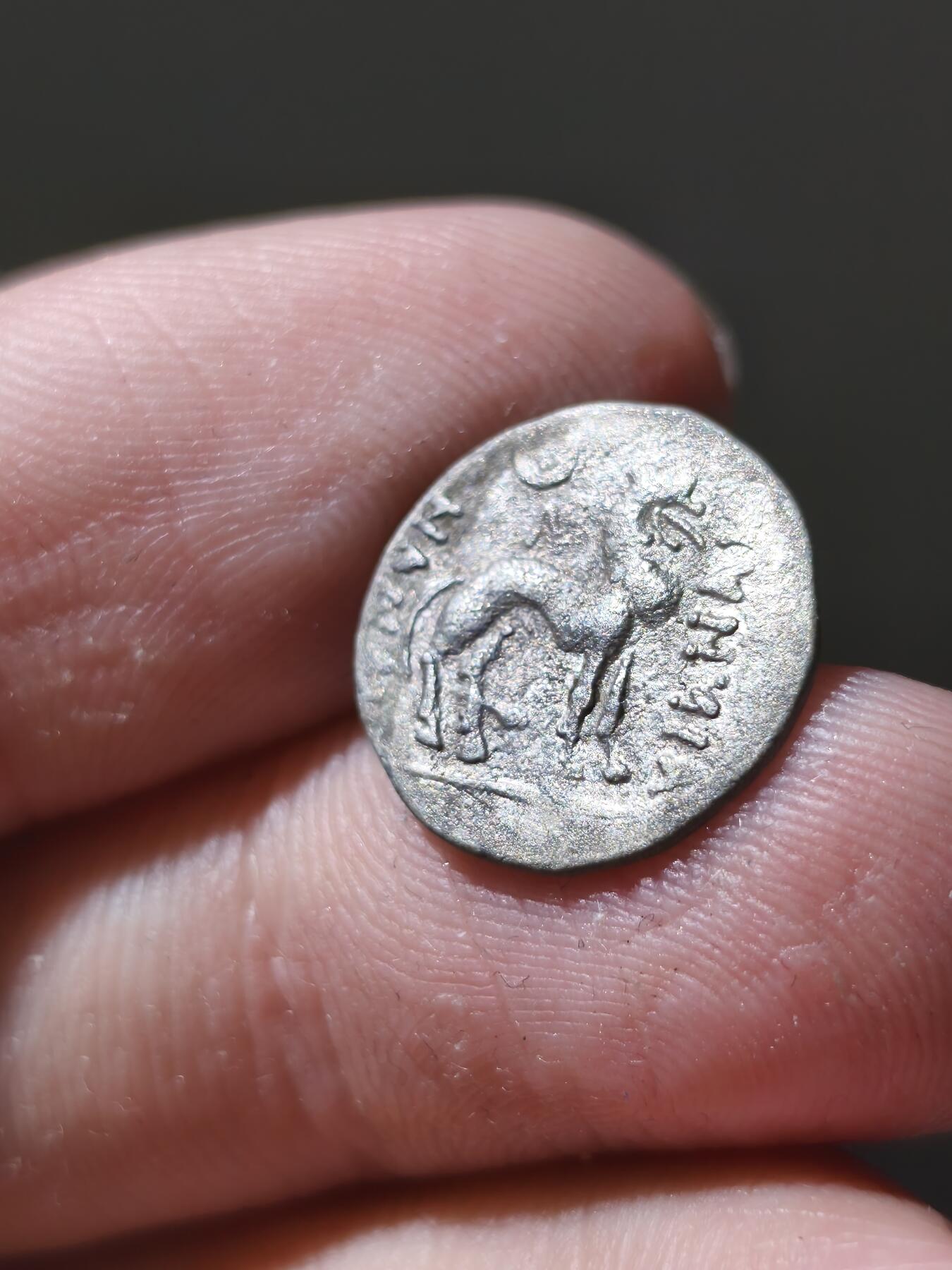 星盘世界钱币十二月六日古典币专场 大月氏都密翕侯萨帕德比西斯Sapadbizes，双奥波银币稀少面值一般都在1.6克左右，这一枚是0.92克不是半德属于双奥波，约公元前一世纪，正面是头戴巴克特里亚盔头像，背面是狮子