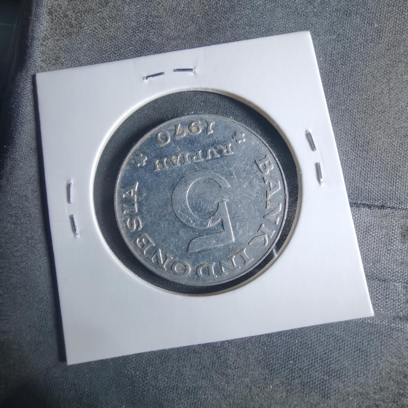 沼泽如烟--第919场