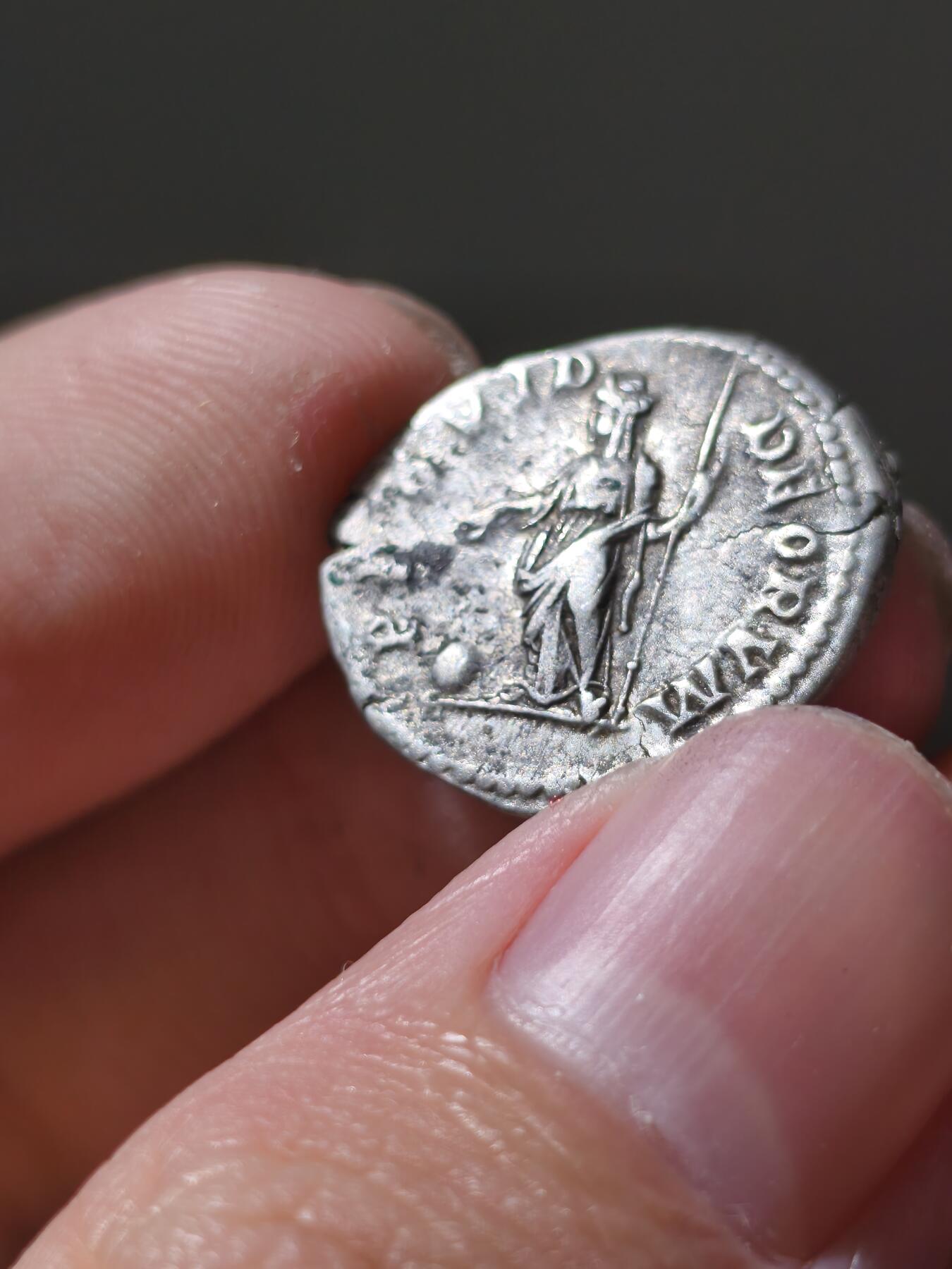 星盘世界钱币十二月六日古典币专场 古罗马赛维鲁王朝银币 老七盖塔 凯撒版