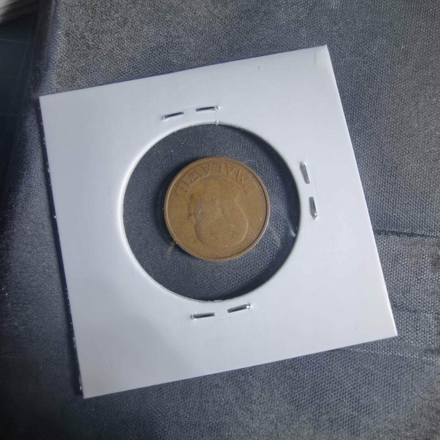 沼泽如烟--第919场