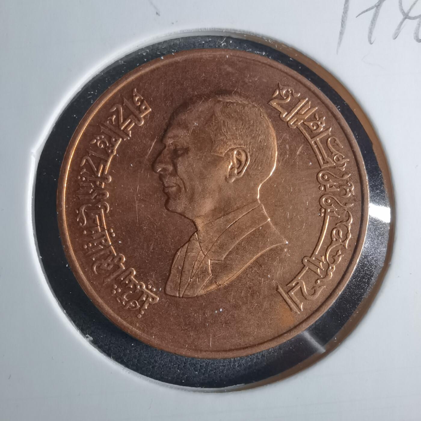 沼泽如烟--第919场