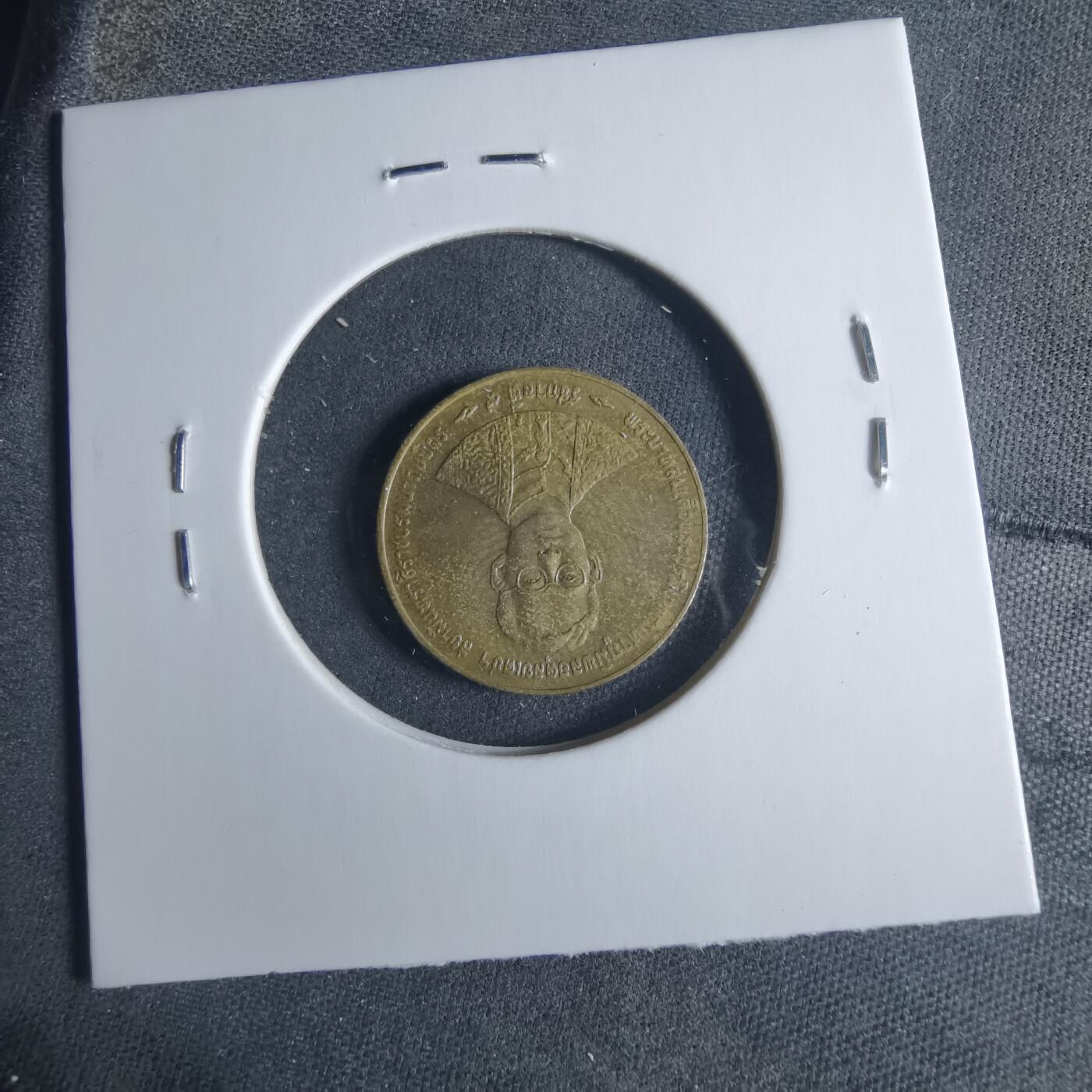 沼泽如烟--第919场 泰国