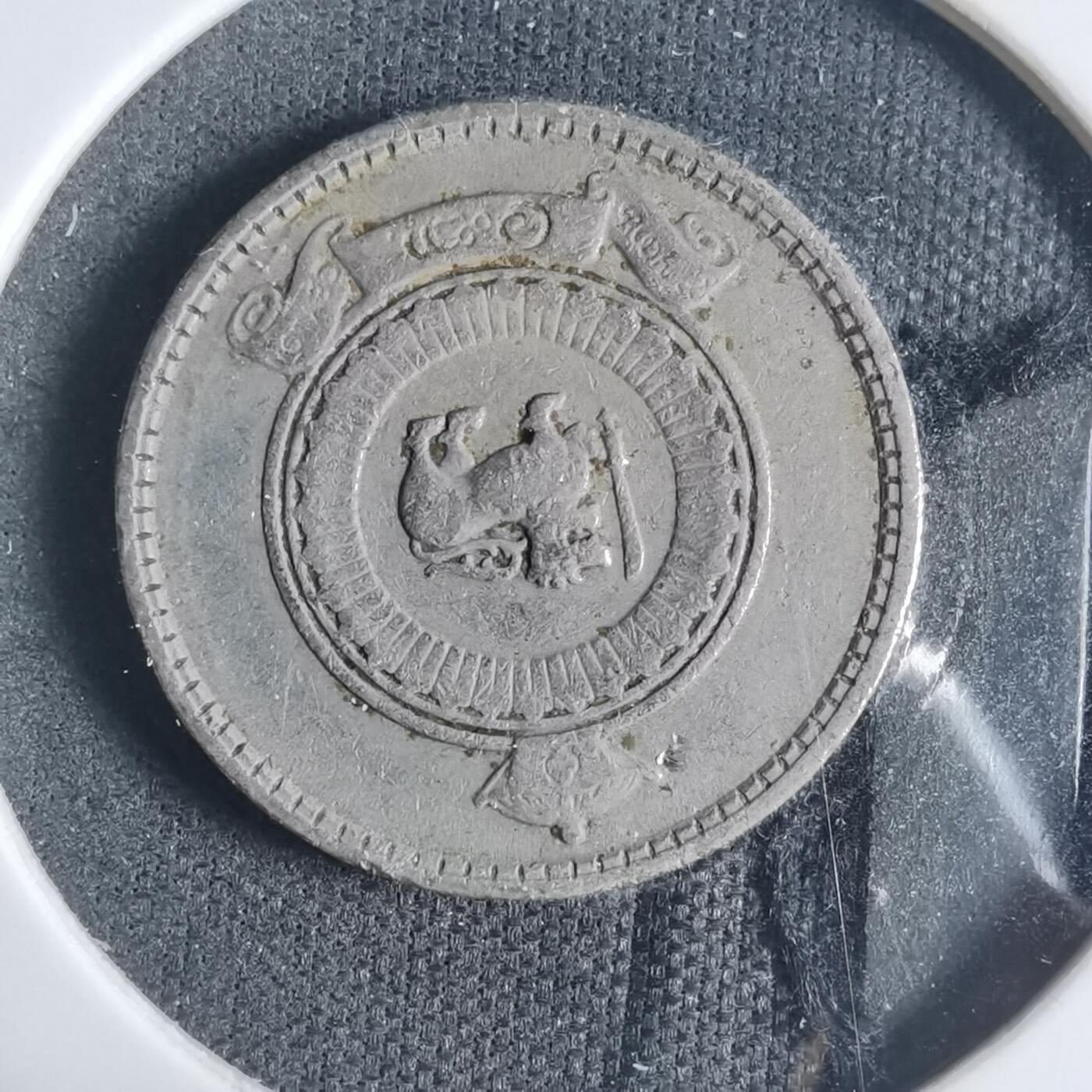 沼泽如烟--第919场