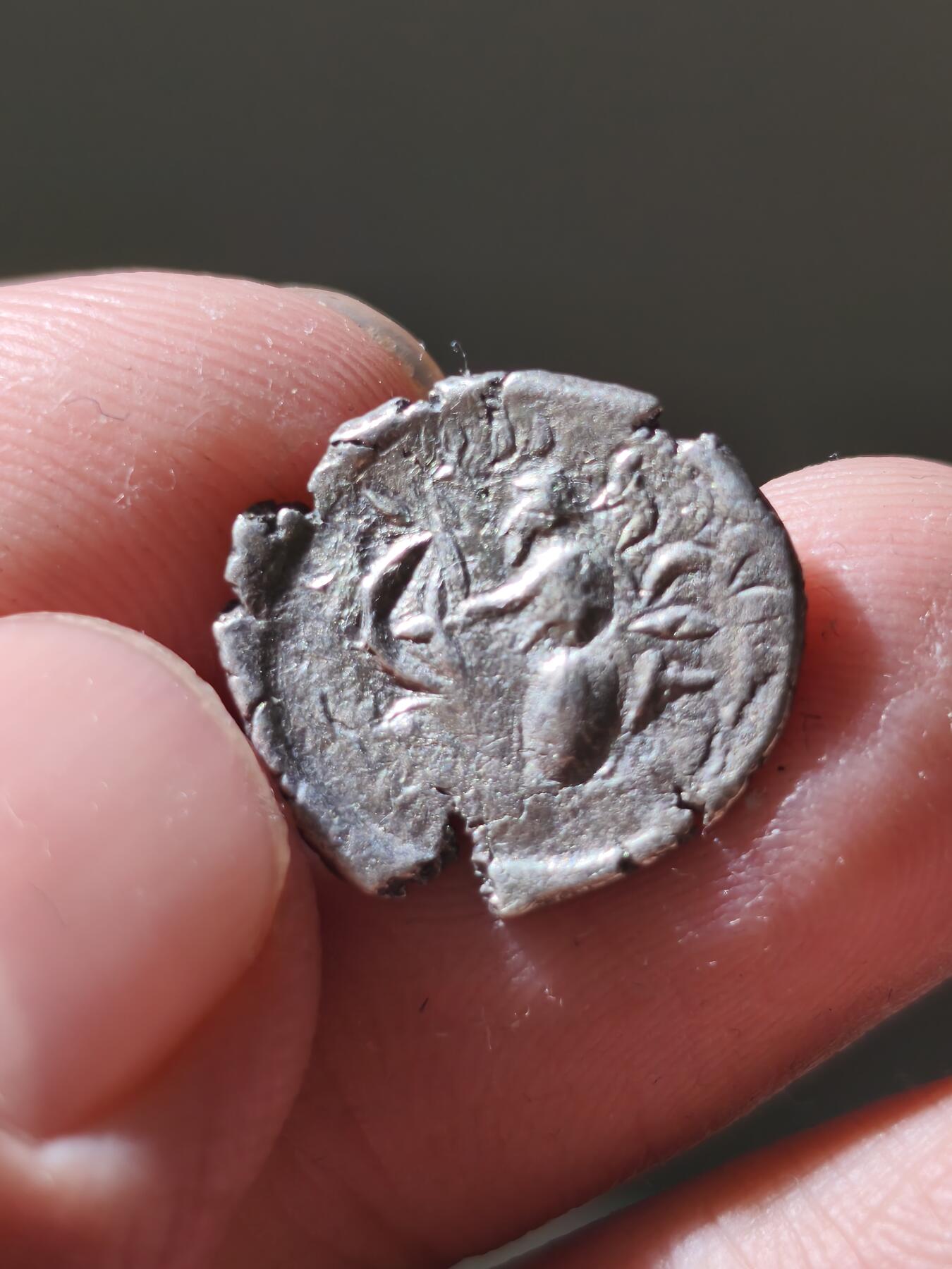 星盘世界钱币十二月六日古典币专场