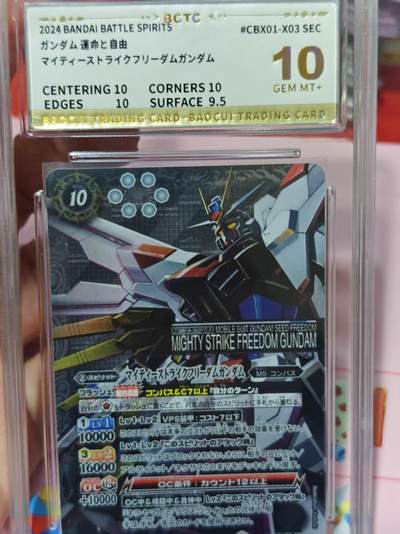 第十五期（周日截拍）惊喜不断看简介 - 万代 战斗之魂 10分