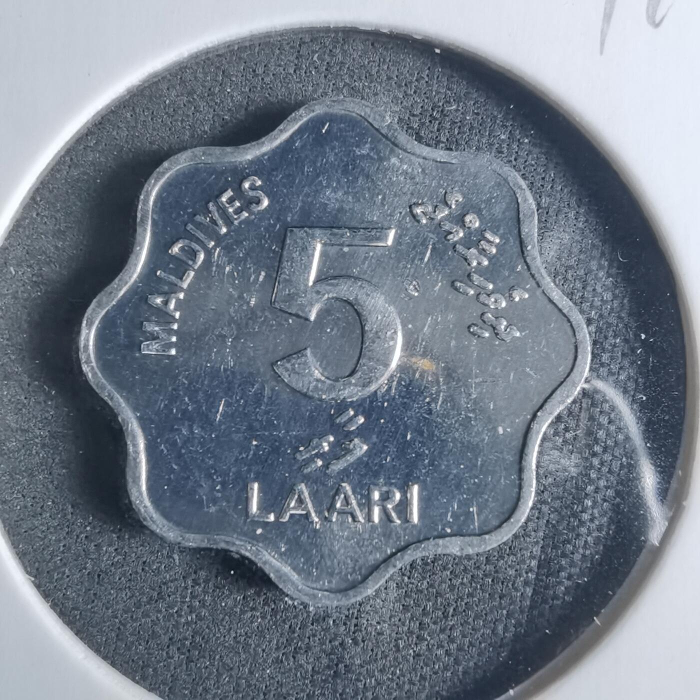 沼泽如烟--第919场