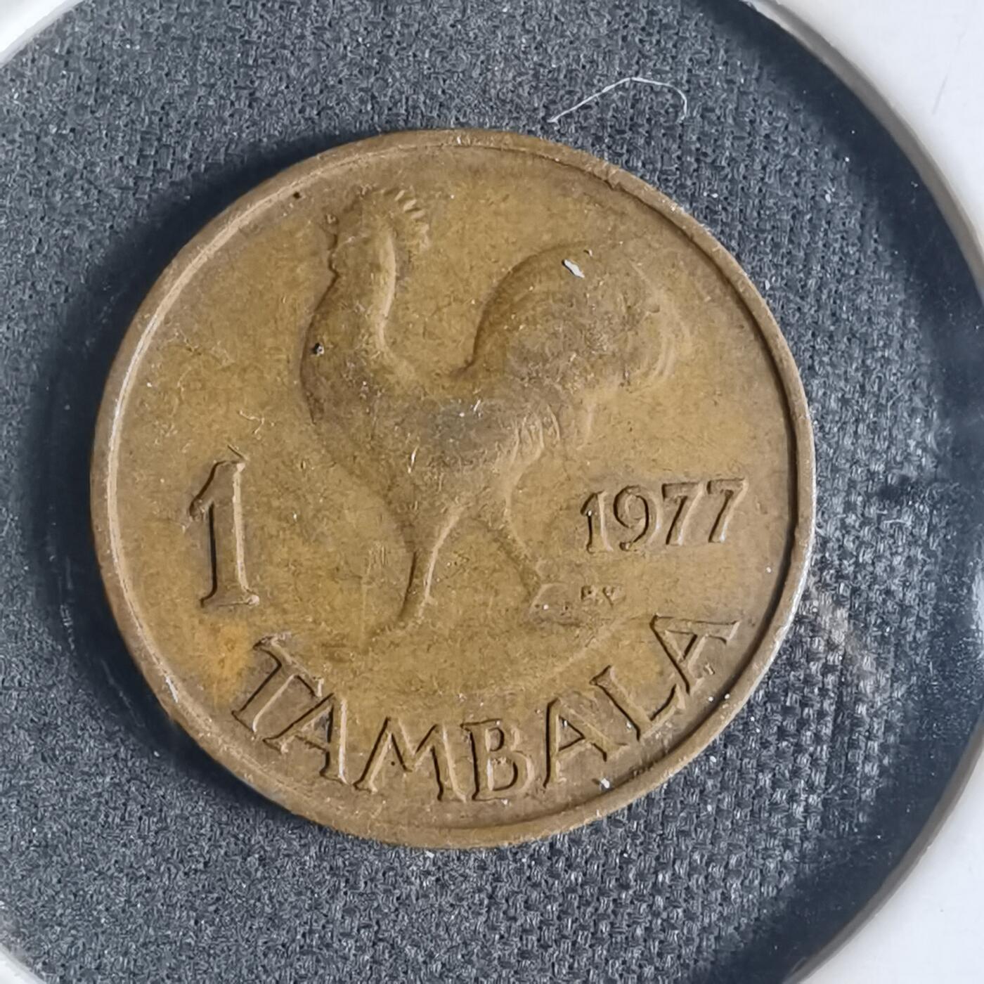 沼泽如烟--第919场