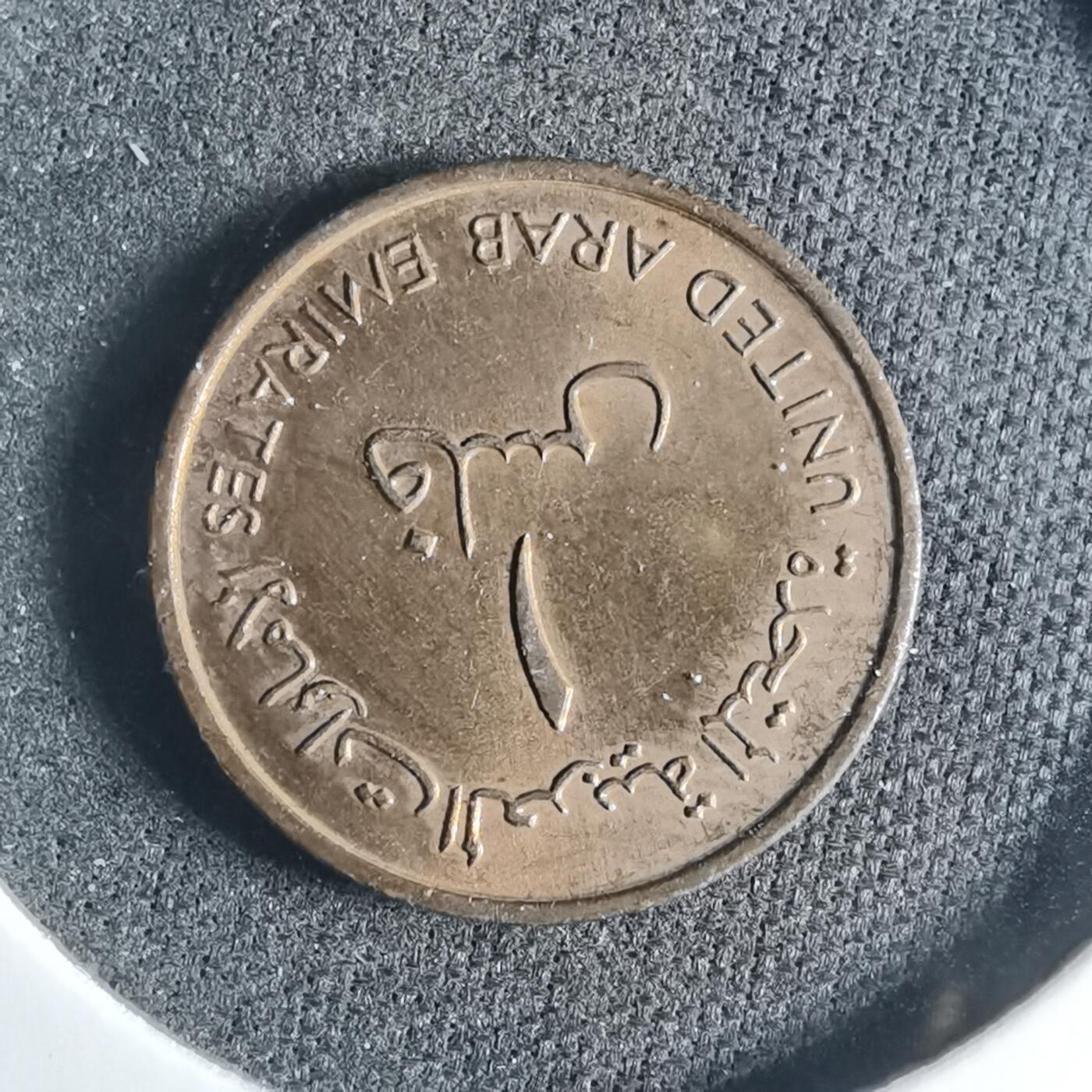 沼泽如烟--第919场