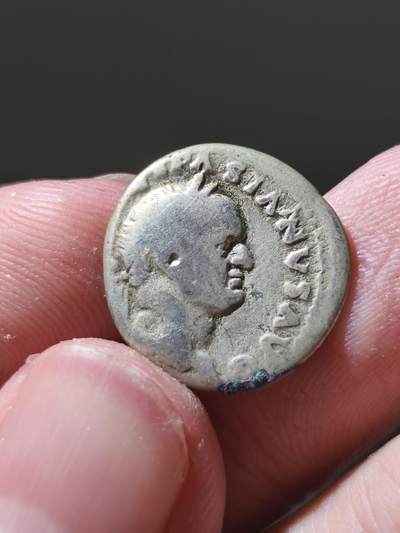星盘世界钱币十二月六日古典币专场 - 古罗马帝国维斯帕西亚第纳尔银币，3.07克 F 可以买个品种