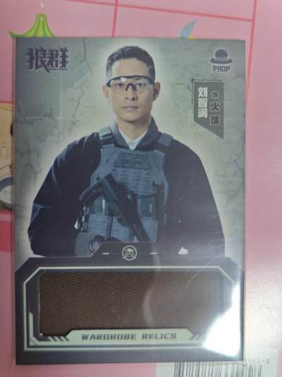 第十五期（周日截拍）惊喜不断看简介 - 狼群 刘志满 物料卡 173/299