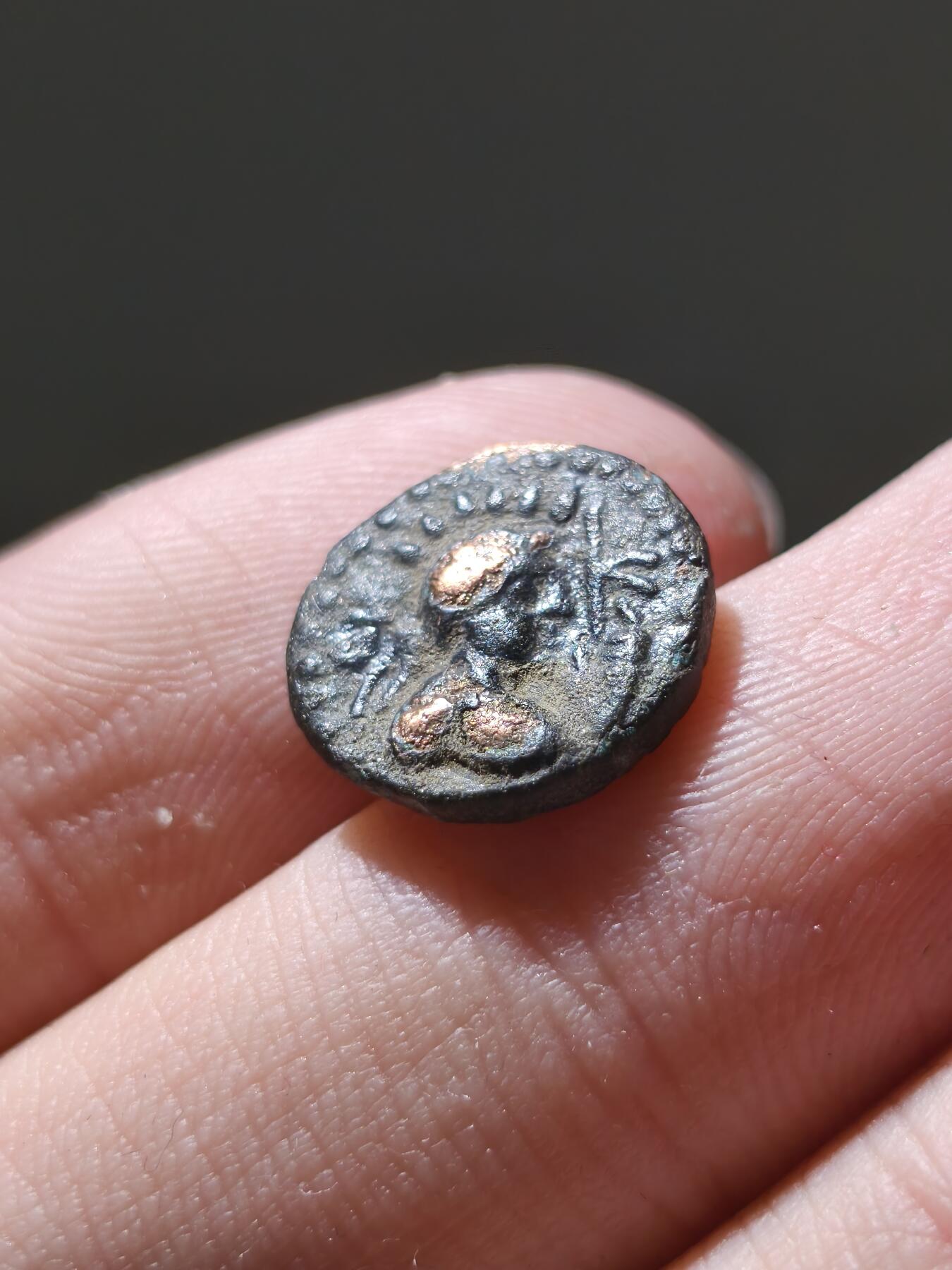 星盘世界钱币十二月六日古典币专场