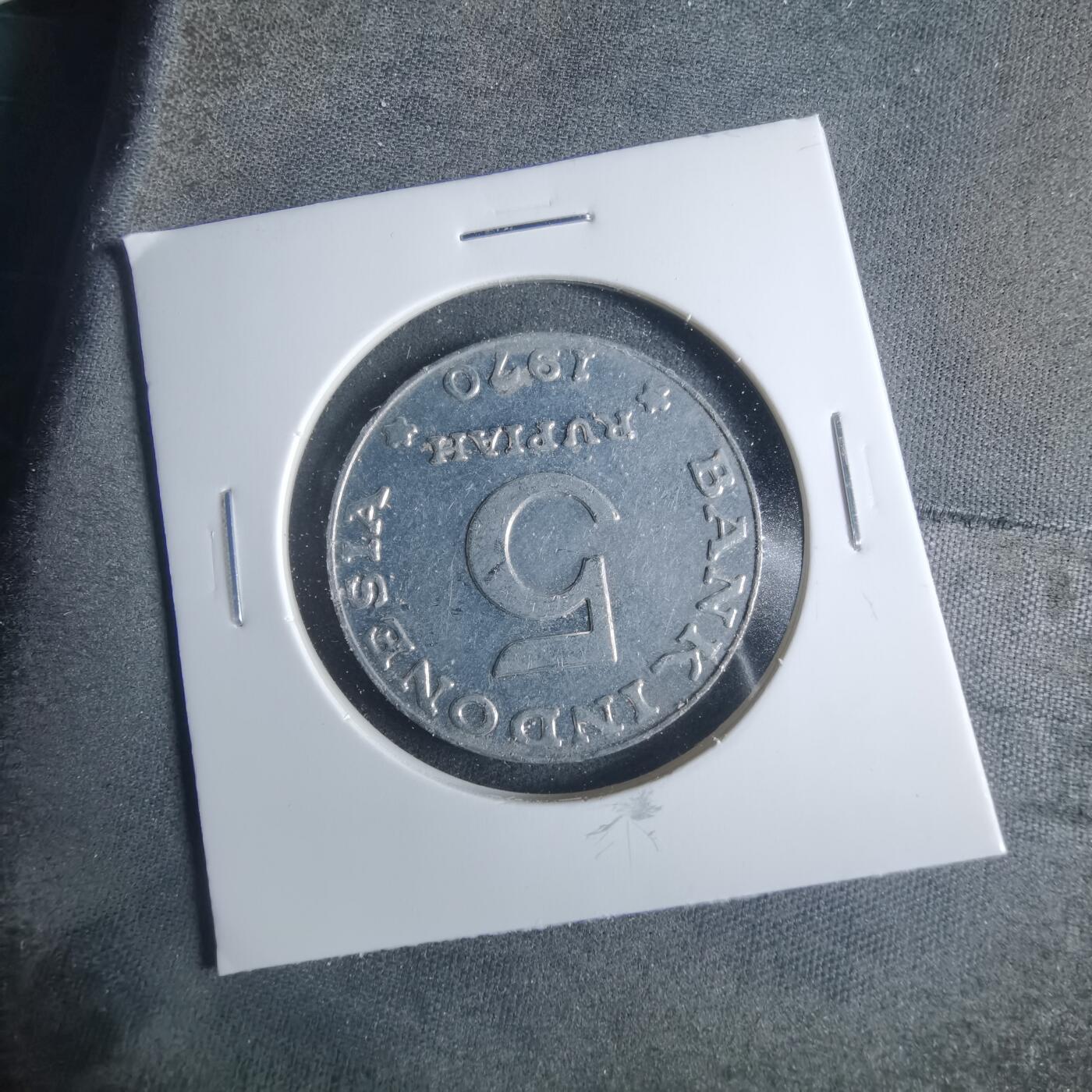 沼泽如烟--第919场