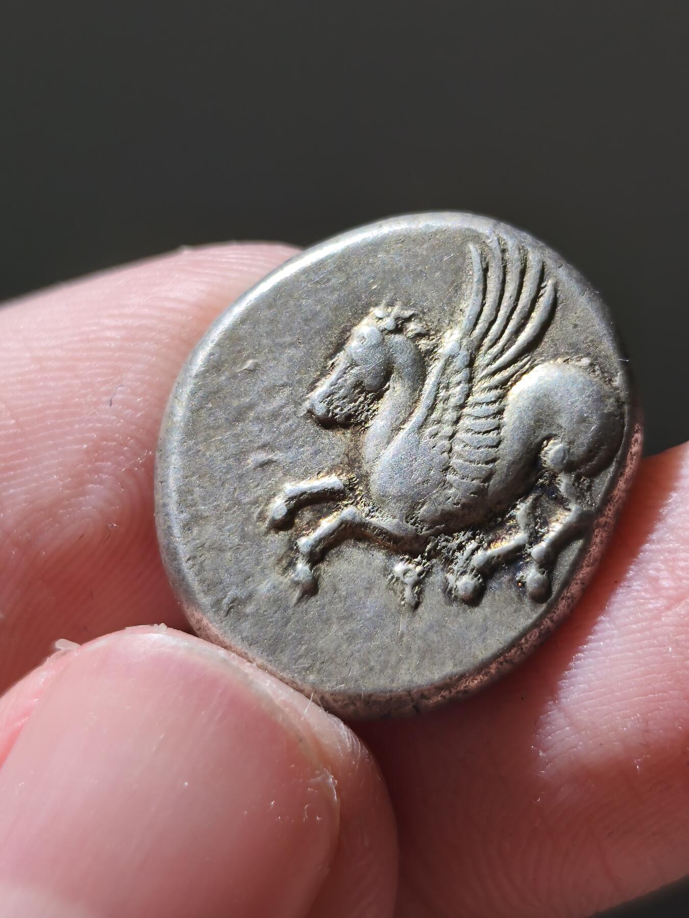 星盘世界钱币十二月六日古典币专场