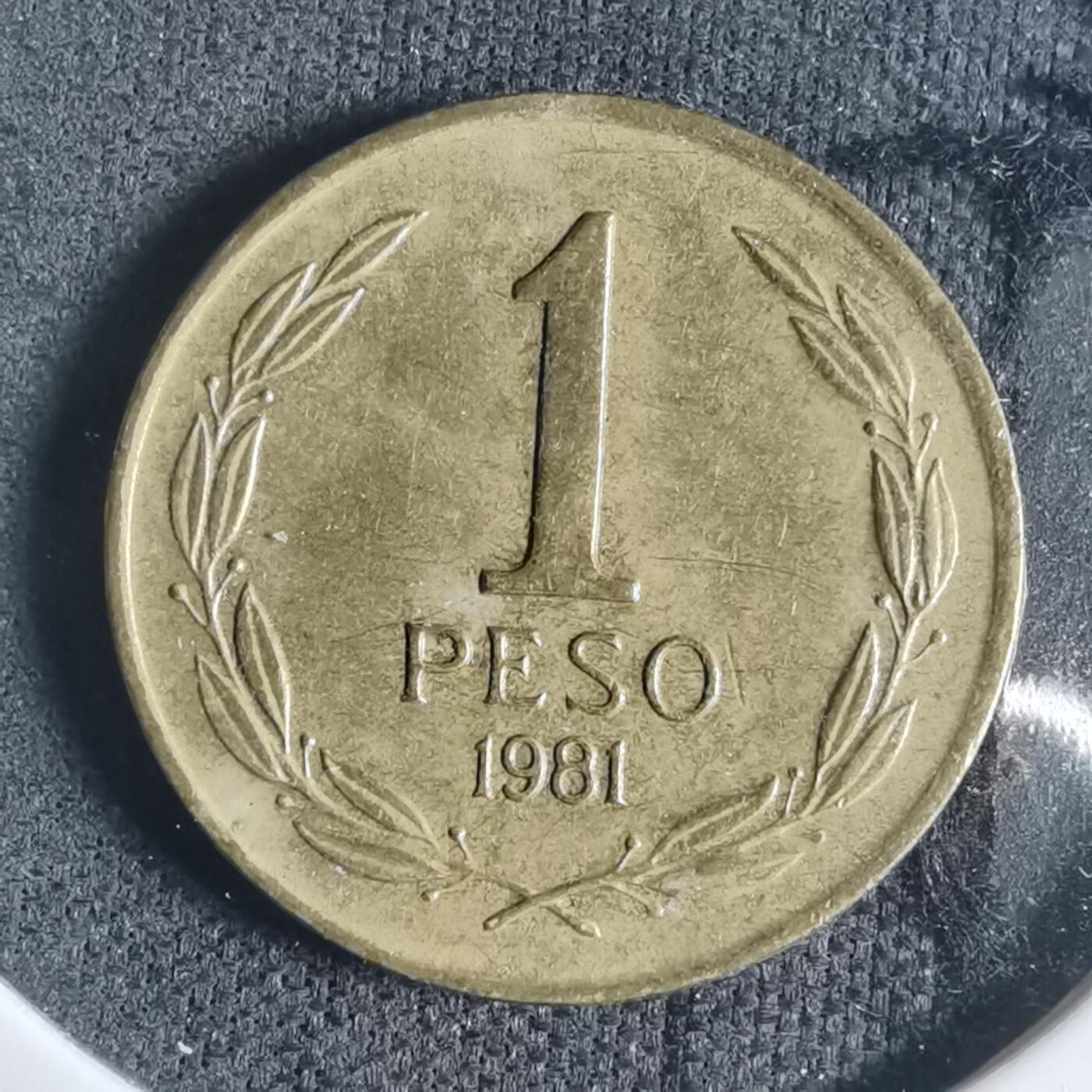 沼泽如烟--第919场