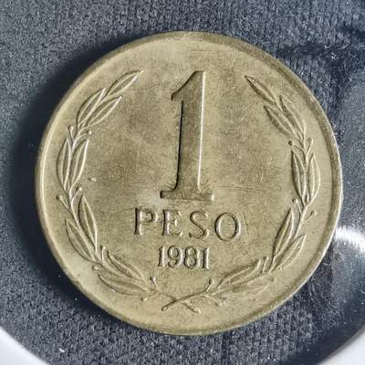 沼泽如烟--第919场 - 智利1981年1比索