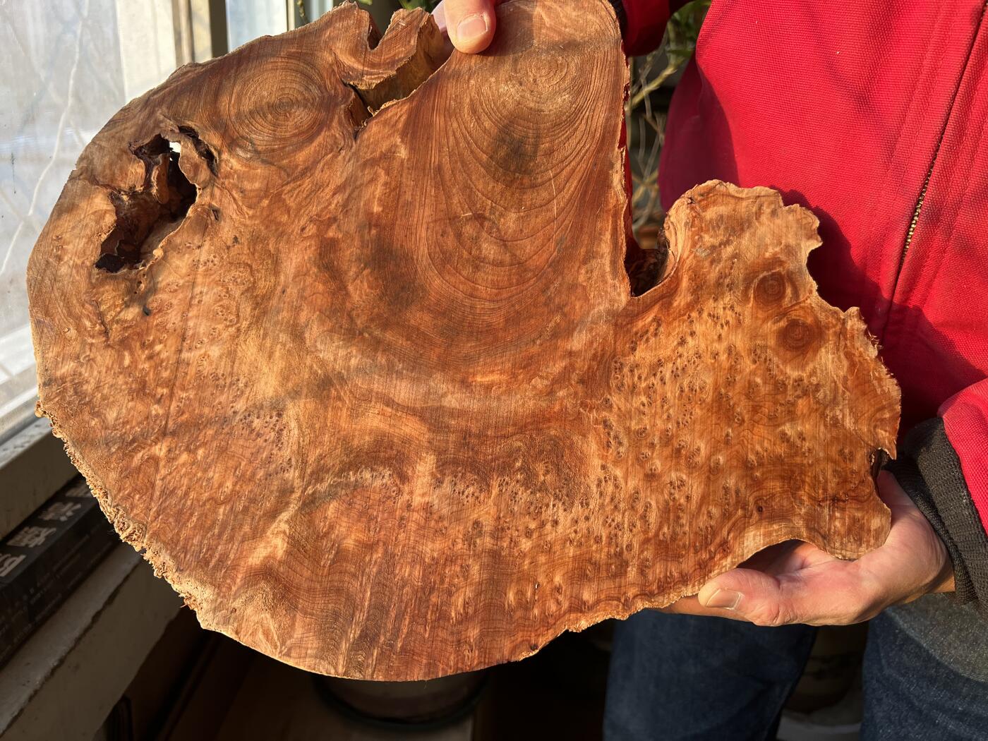 零元拍：香杉木老根榴茶盘，尺寸约：390/340/35MM，满花，药香满鼻，因为没有上漆，干燥天气可能会产生裂纹，属于正常现象