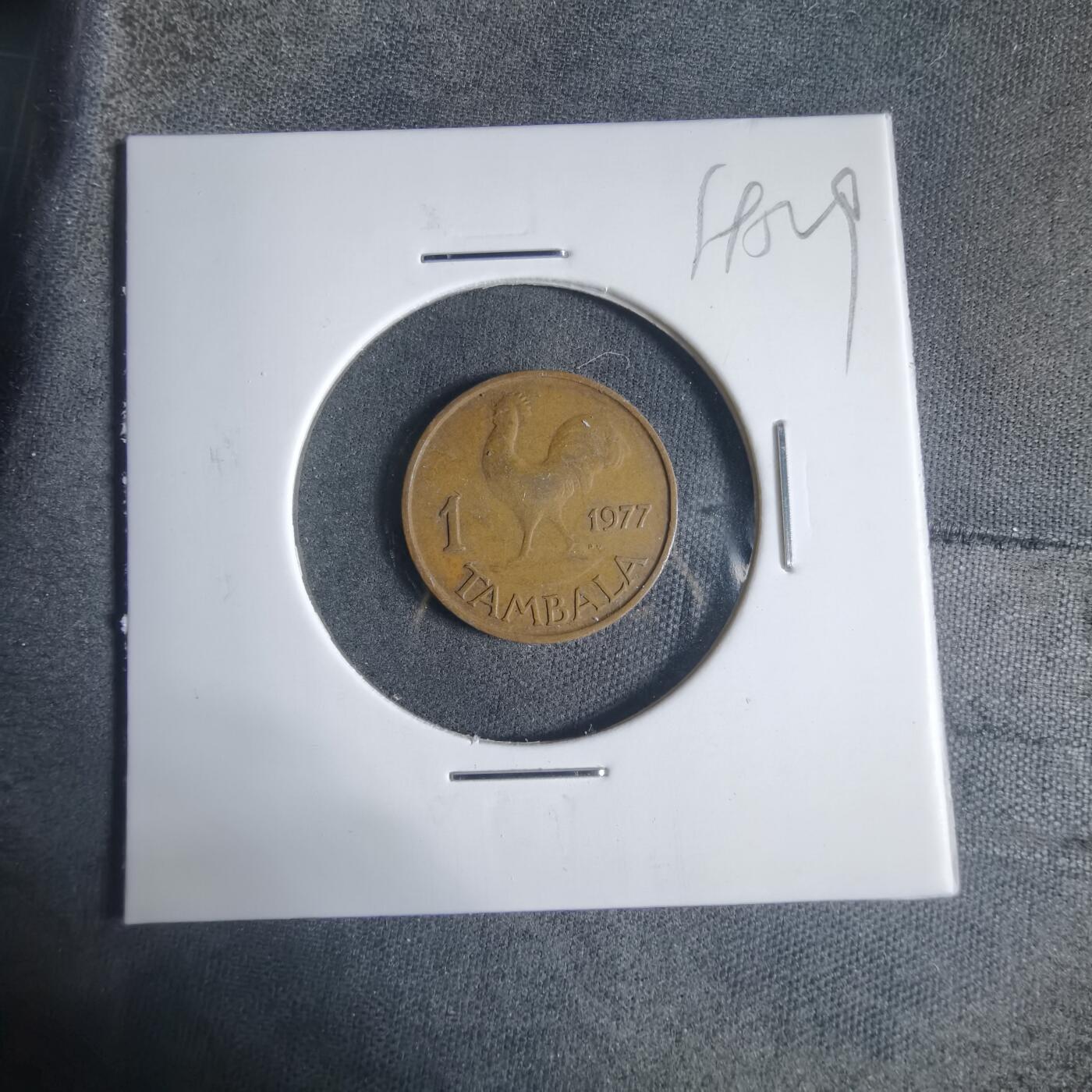 沼泽如烟--第919场