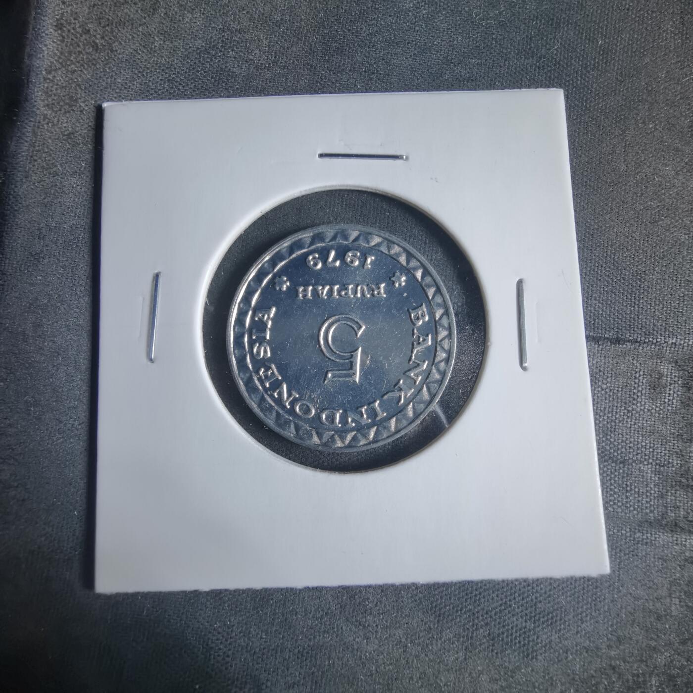 沼泽如烟--第919场