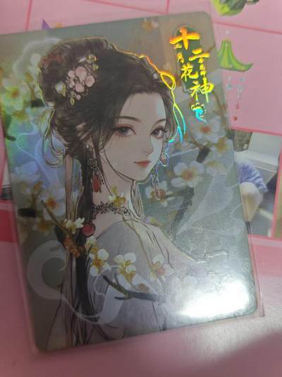 第十五期（周日截拍）惊喜不断看简介 - 长相思  十二花神   11月30日