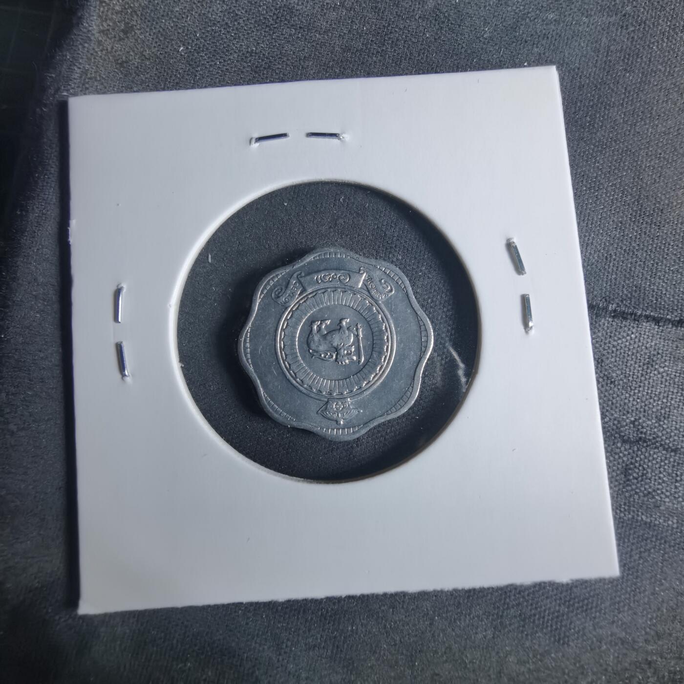 沼泽如烟--第919场