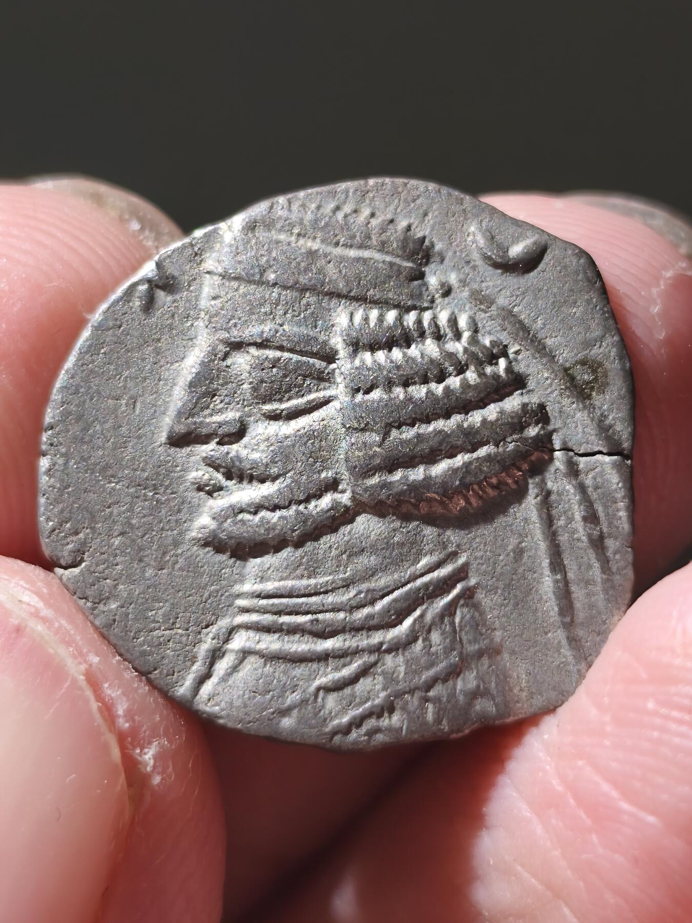 星盘世界钱币十二月六日古典币专场