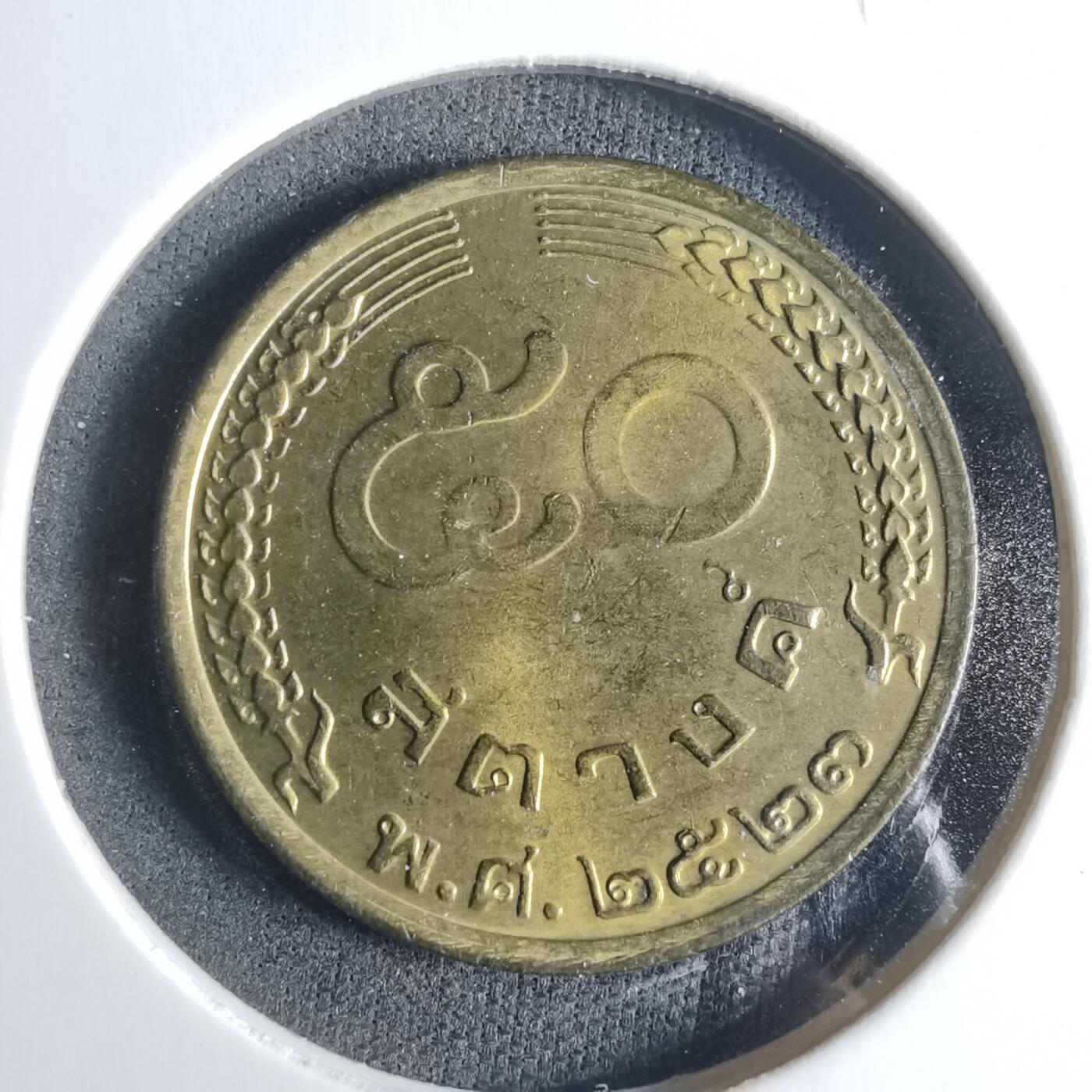 沼泽如烟--第919场 泰国