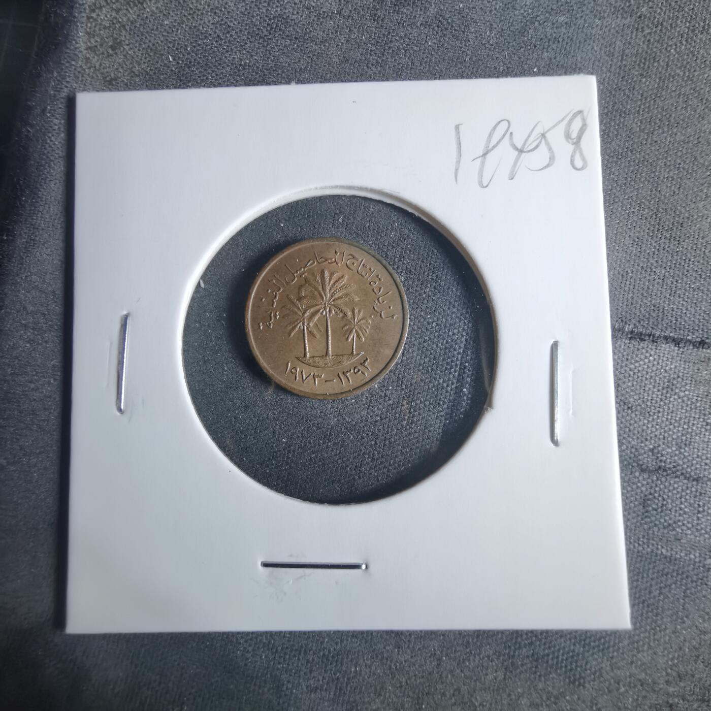 沼泽如烟--第919场