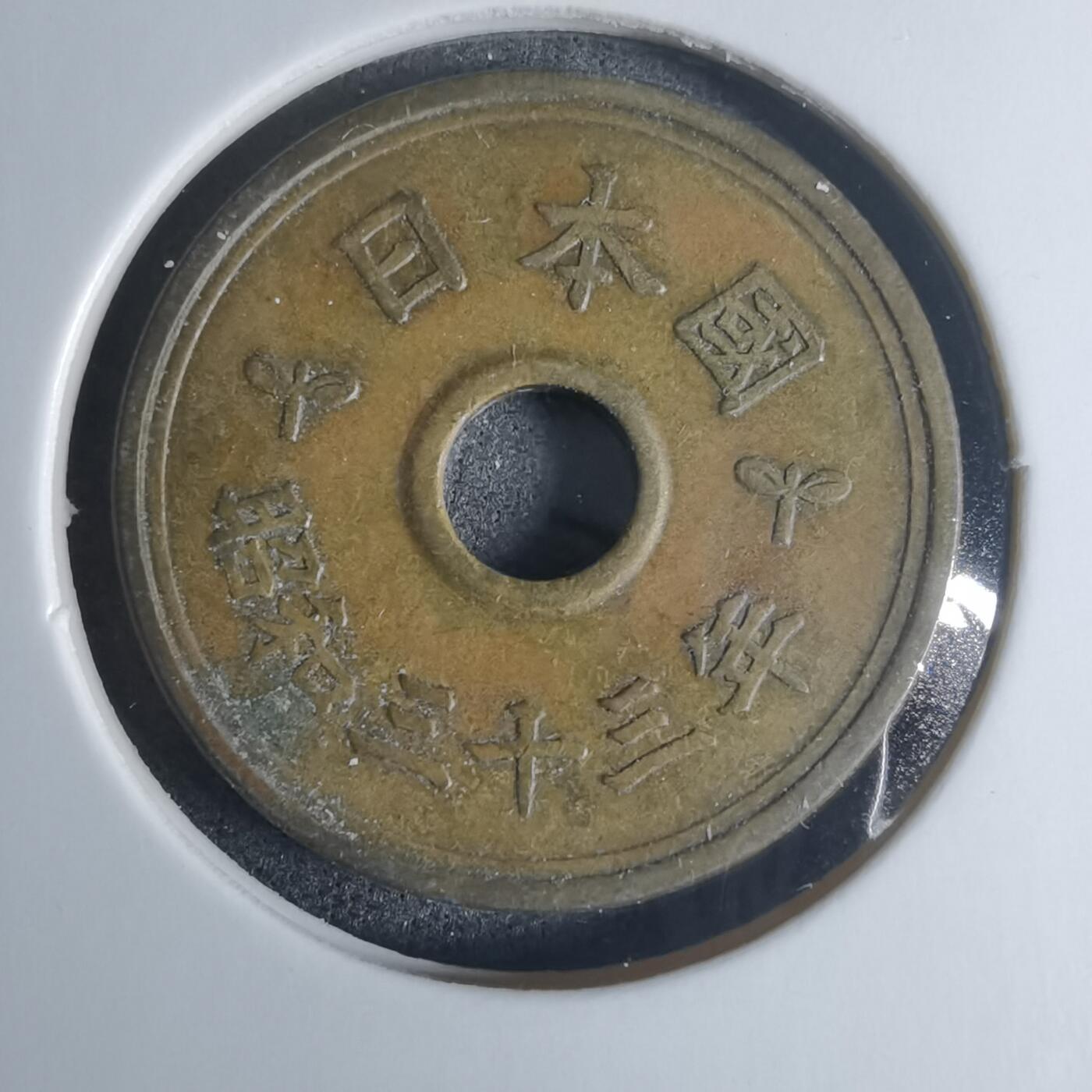 沼泽如烟--第920场