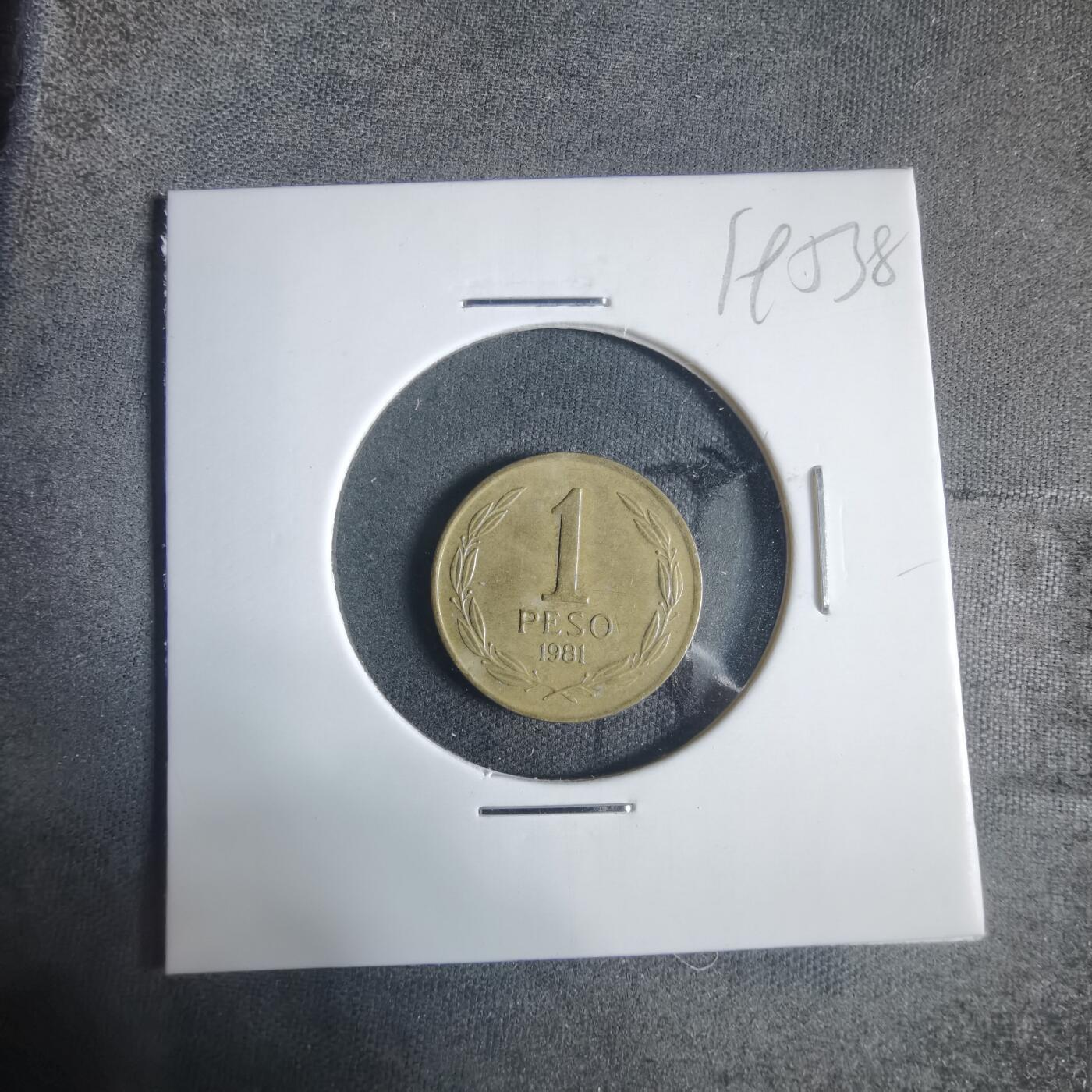 沼泽如烟--第919场