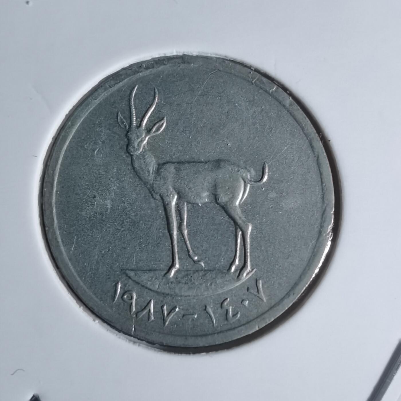 沼泽如烟--第920场 阿联酋