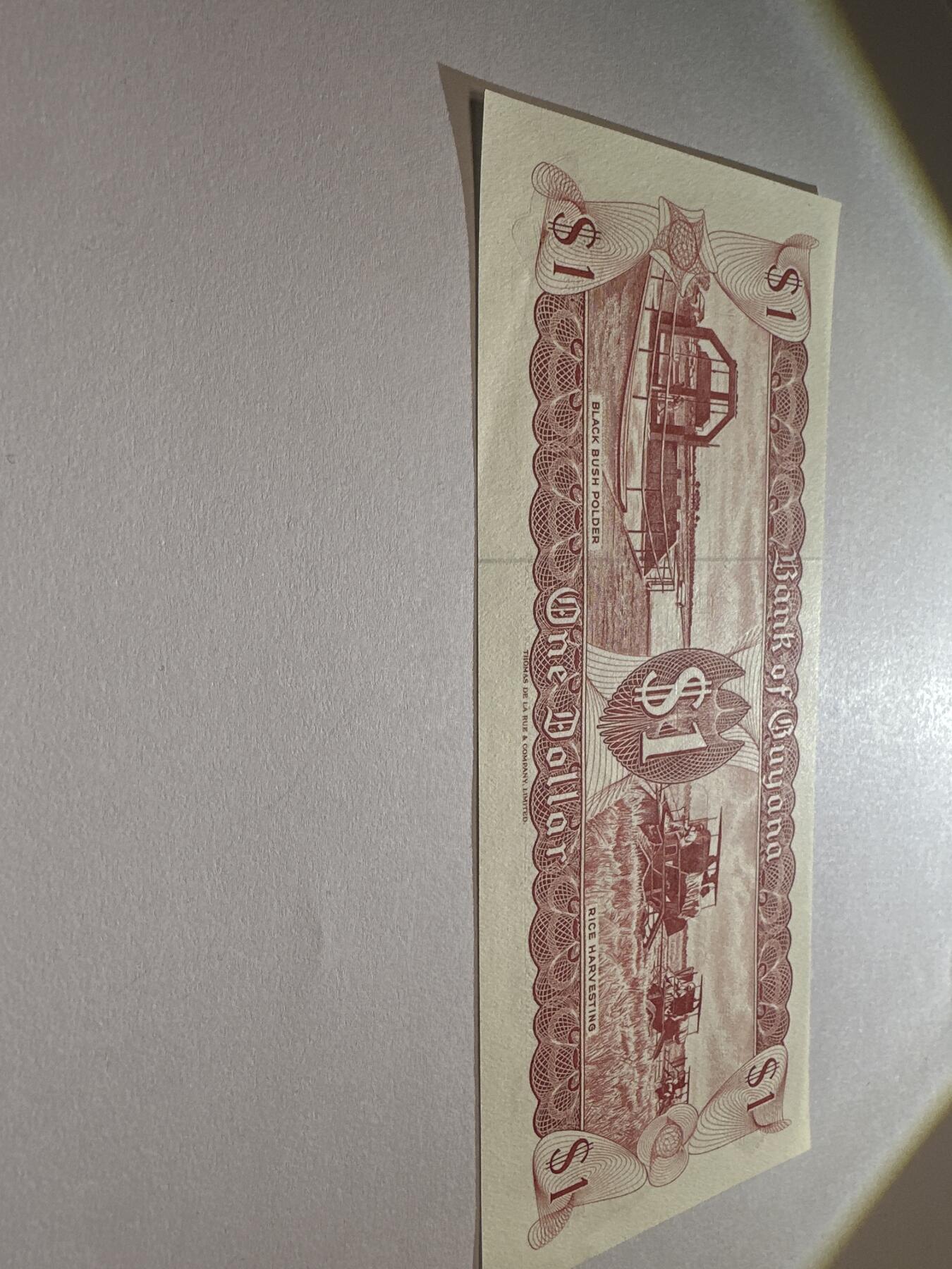 12.5纸币专场 1966-92年 美洲 圭亚那1元 全新UNC