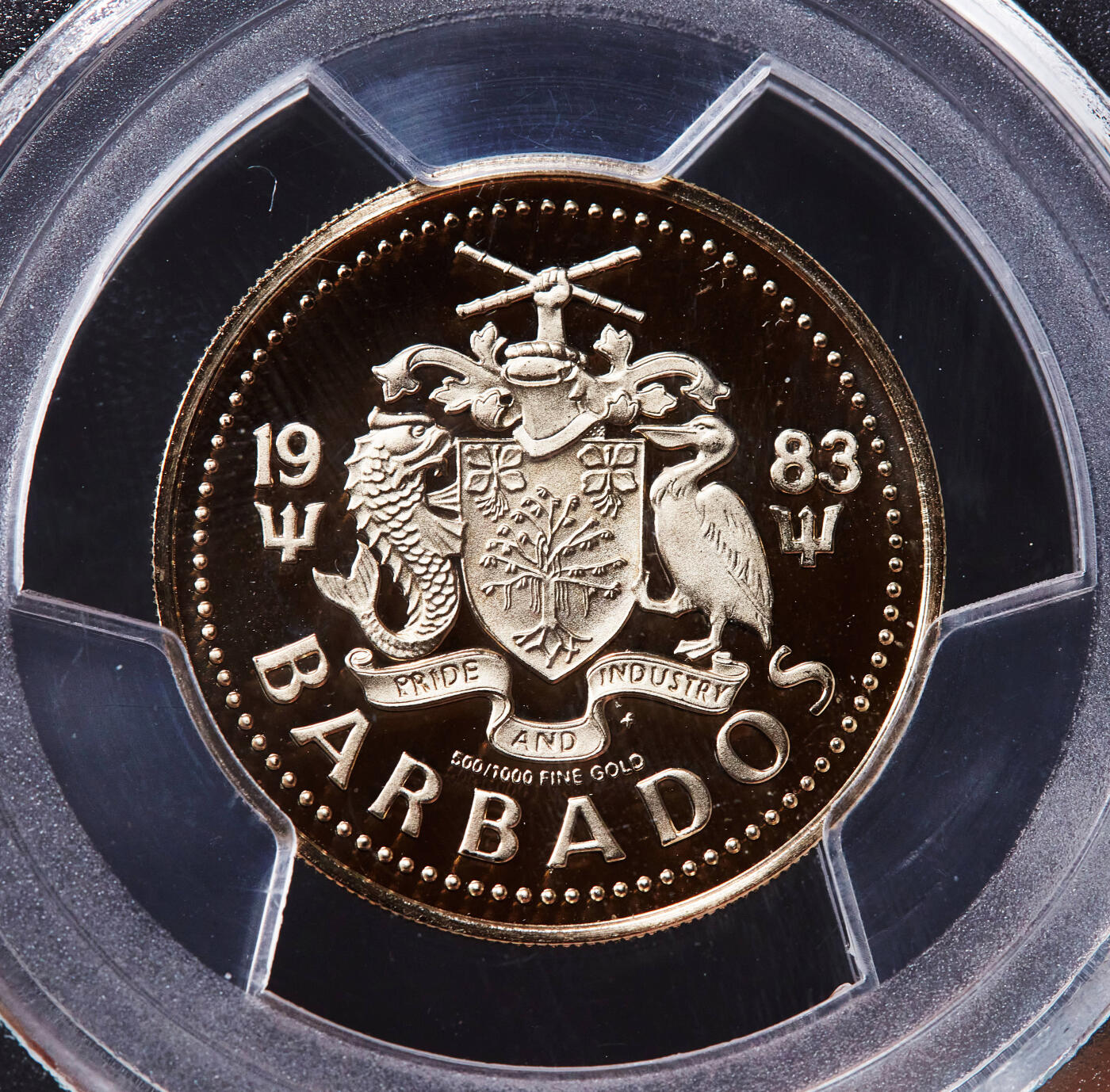 【俄甄集藏】2025年(045)12-03 星期三 晚 19:30 全场包邮 巴巴多斯1983年海神100元精制金币，PCGS PR69DC，重6.21克，50%金，发行量484枚，富兰克林造币厂出品，稀有名誉品种