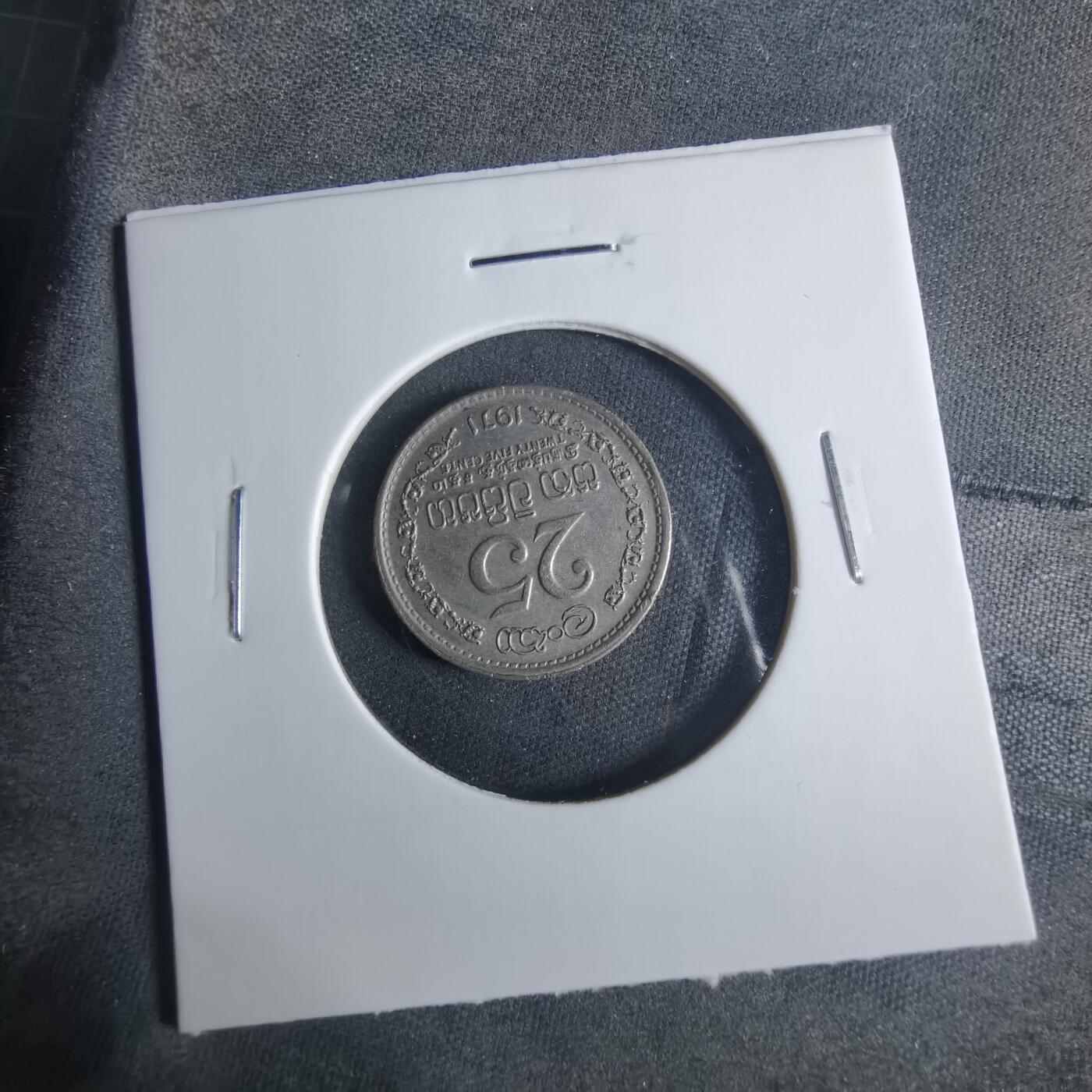 沼泽如烟--第919场