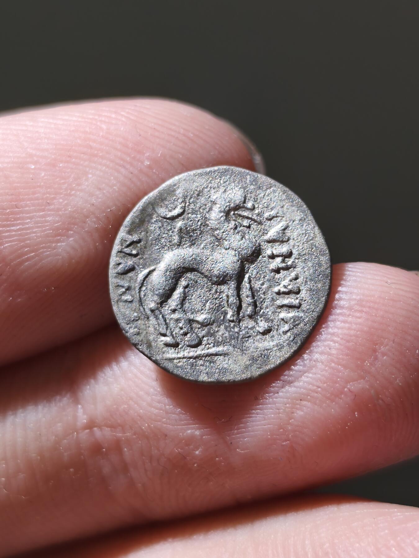 星盘世界钱币十二月六日古典币专场 大月氏都密翕侯萨帕德比西斯Sapadbizes，双奥波银币稀少面值一般都在1.6克左右，这一枚是0.92克不是半德属于双奥波，约公元前一世纪，正面是头戴巴克特里亚盔头像，背面是狮子