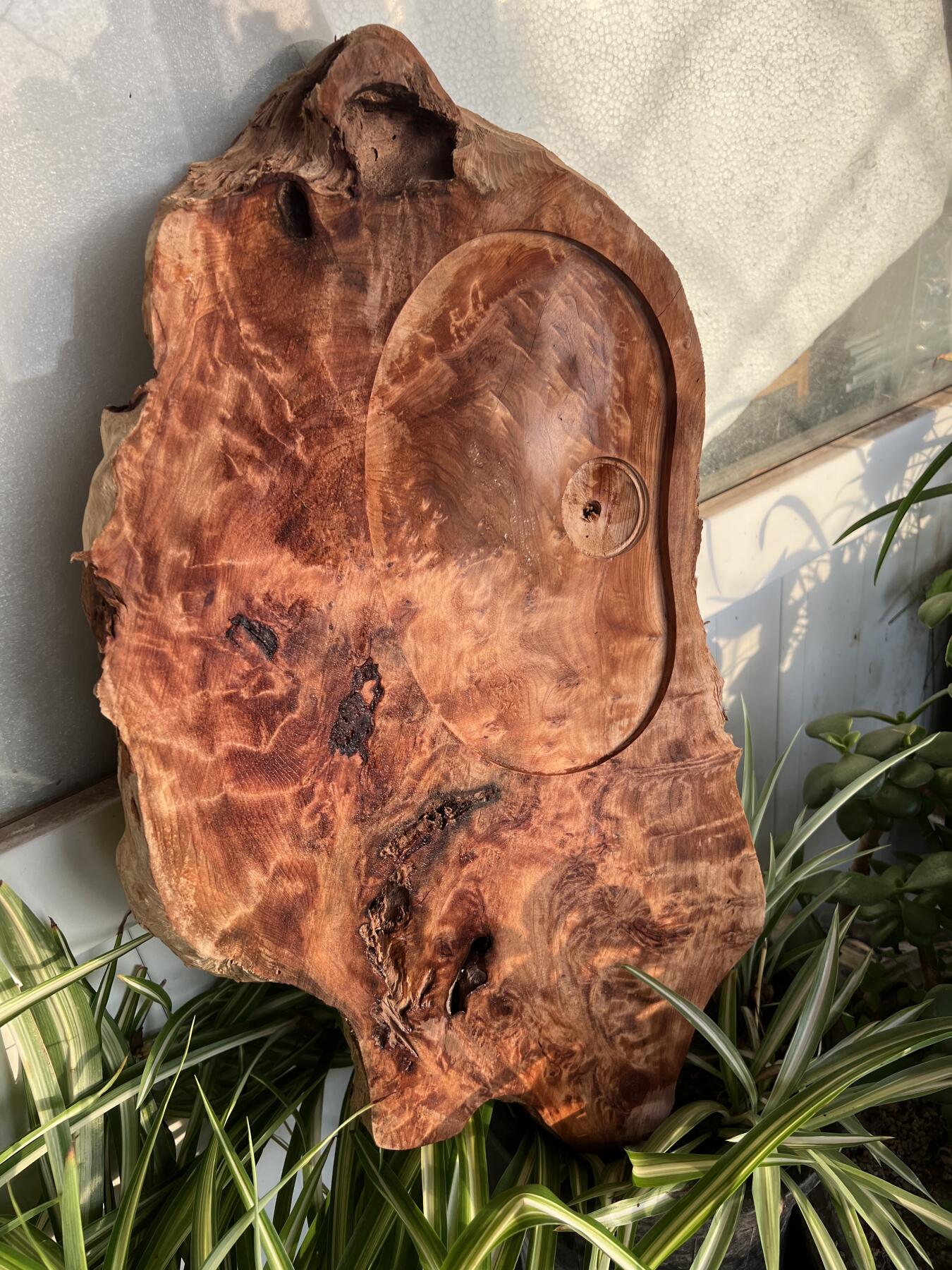 零元拍：香杉木老根榴茶盘，尺寸约：475/280/40MM，满花，药香满鼻，因为没有上漆，干燥天气可能会产生裂纹，属于正常现象