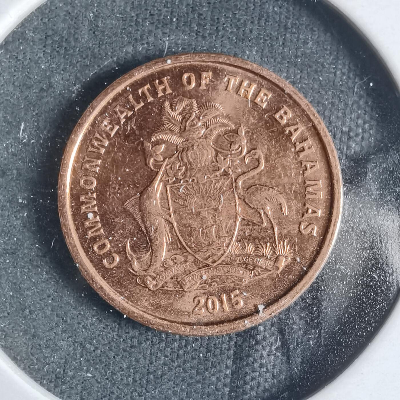 沼泽如烟--第919场