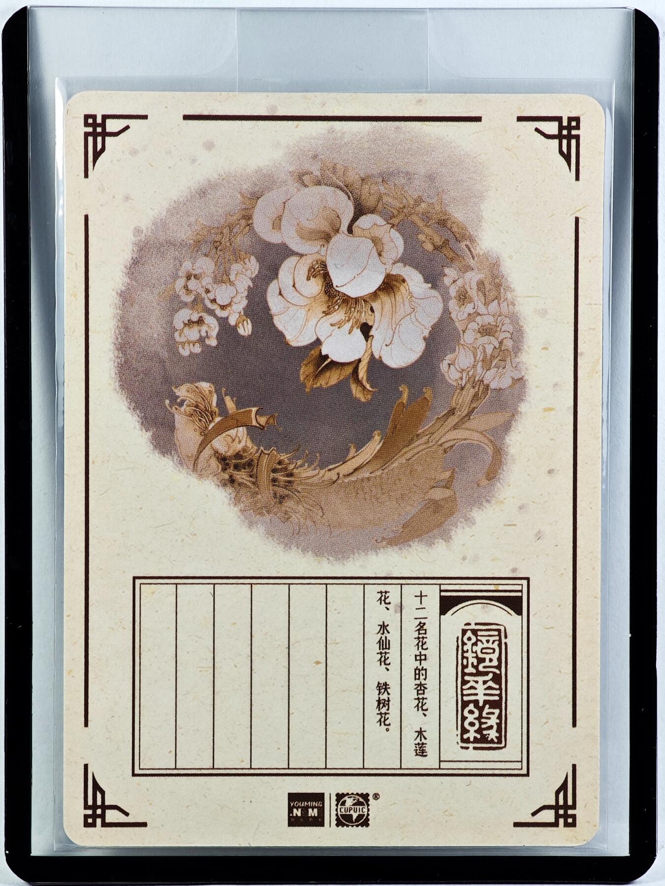 白泽拍卖卡牌手绘专场第29期（忽有故人心上过，回首山河已是秋） 2023 镜花缘 陈岱青绘 杏花 木莲花 水仙花 铁树花  陈岱青亲签 粗闪 卡夹封装