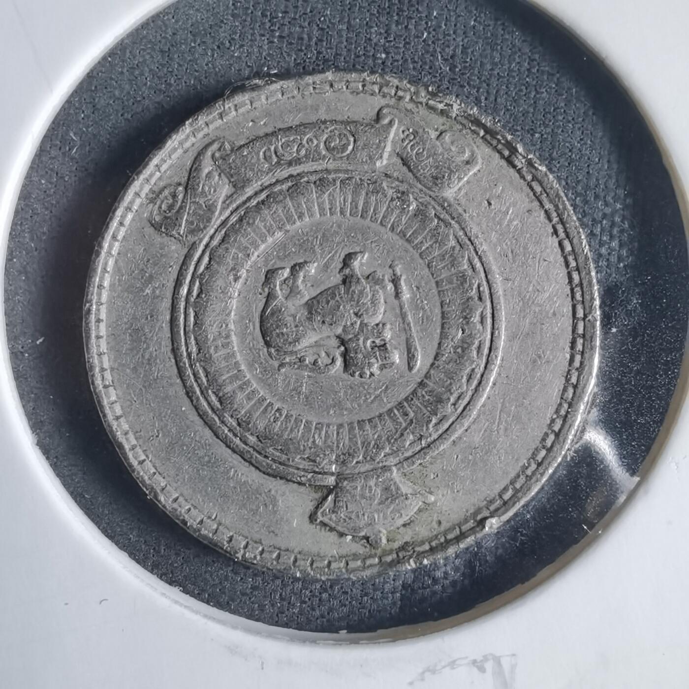 沼泽如烟--第919场