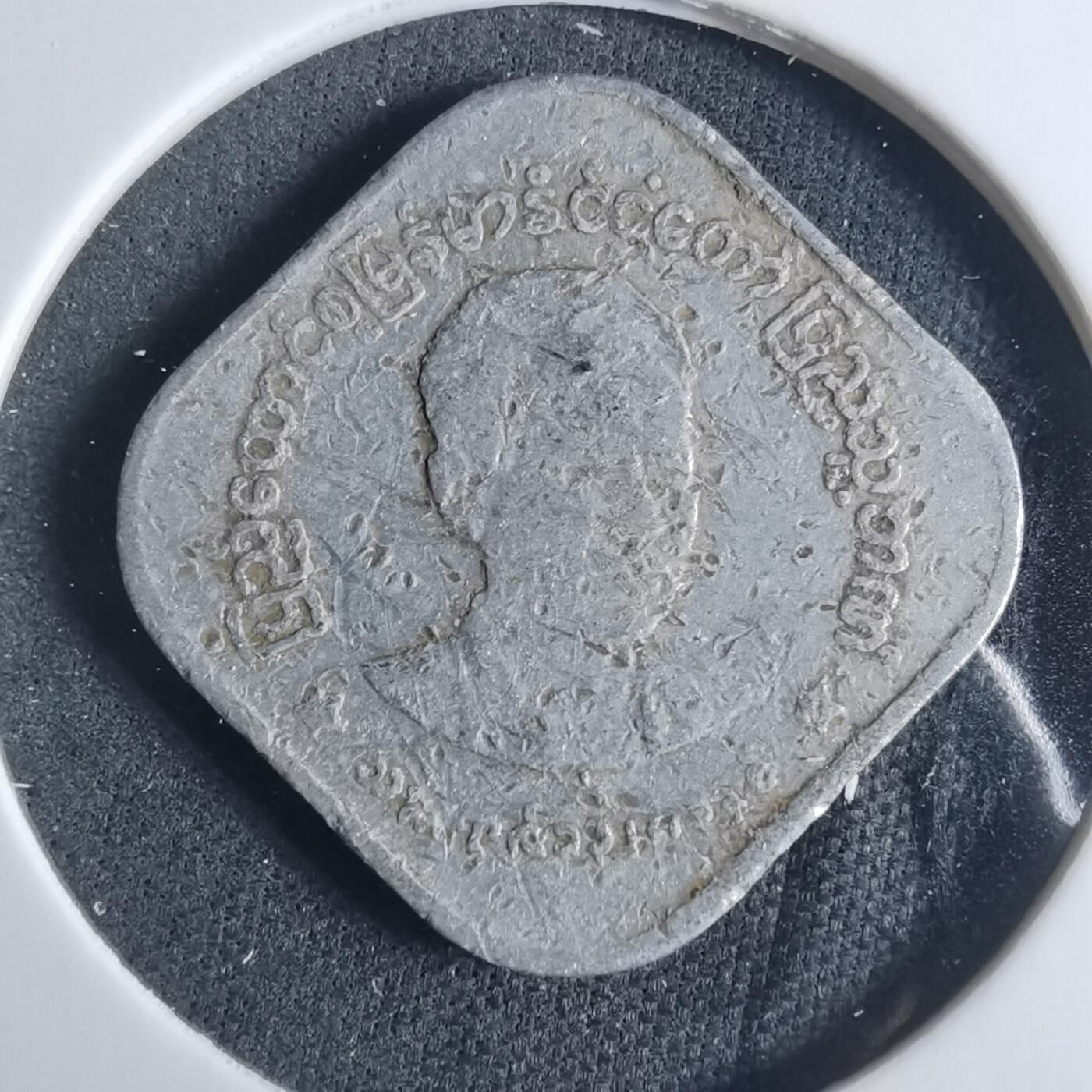 沼泽如烟--第919场