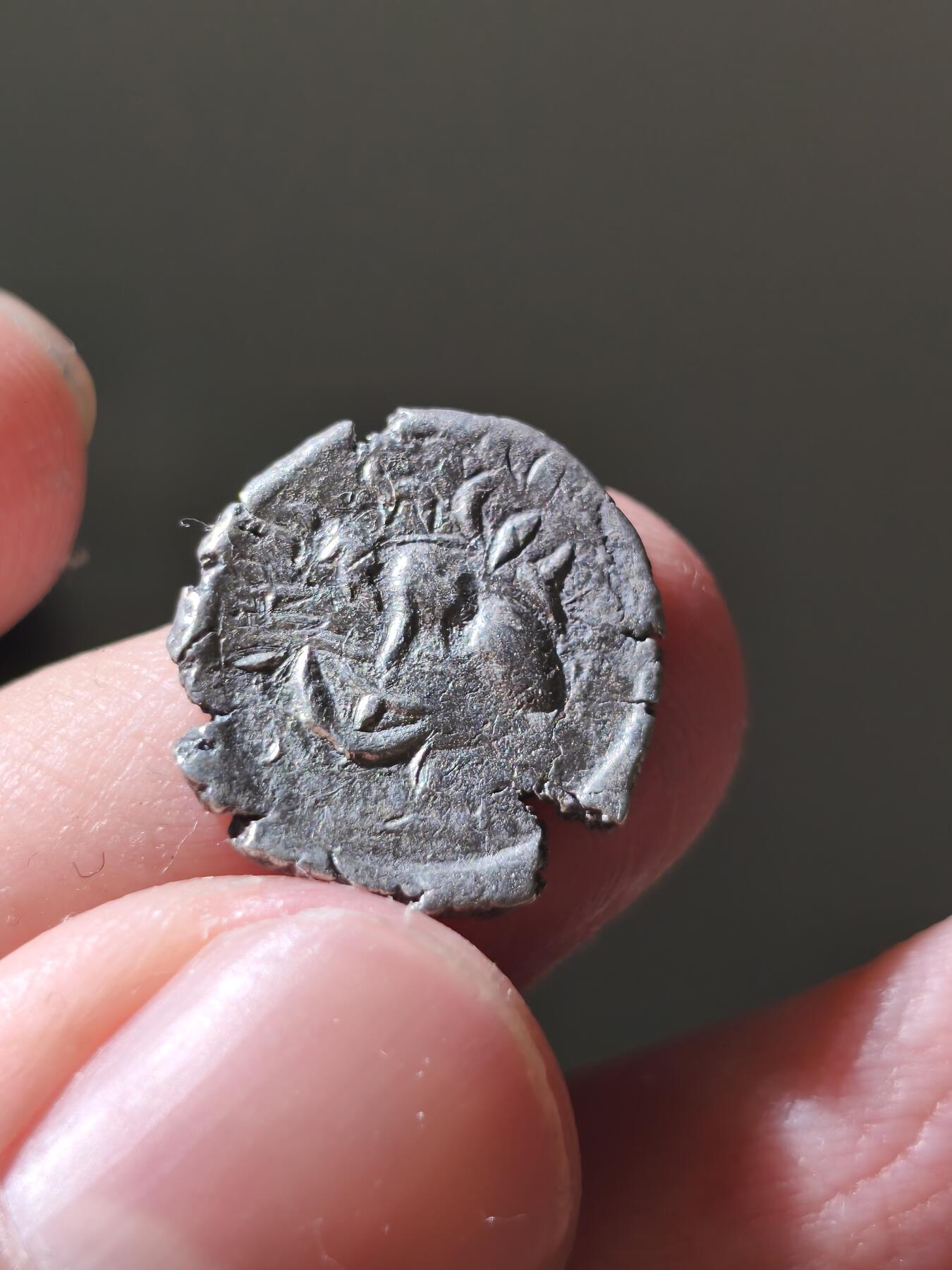 星盘世界钱币十二月六日古典币专场