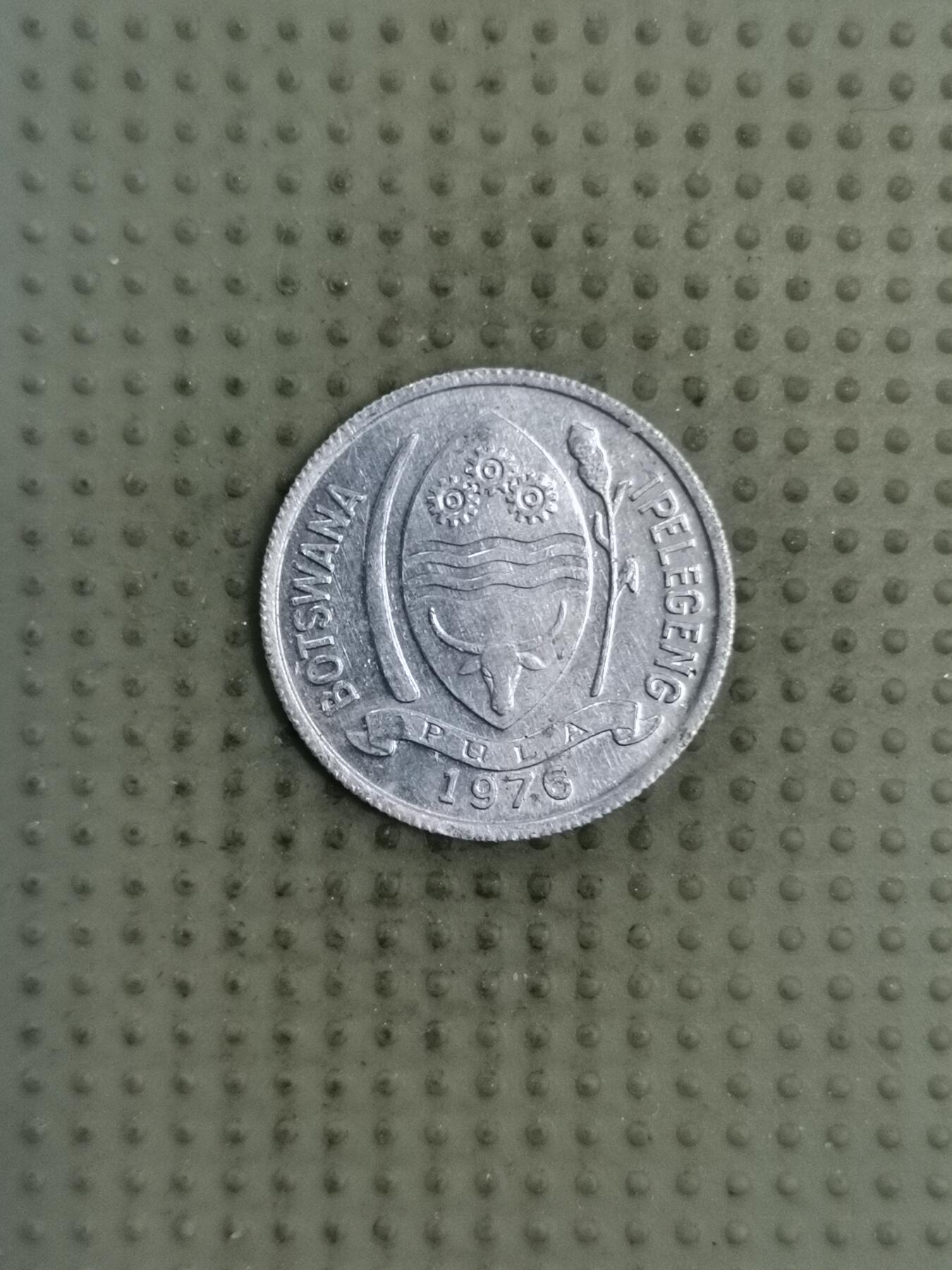 2025年第128场各国散币拍卖（总第128场） 博茨瓦纳1976年1西比