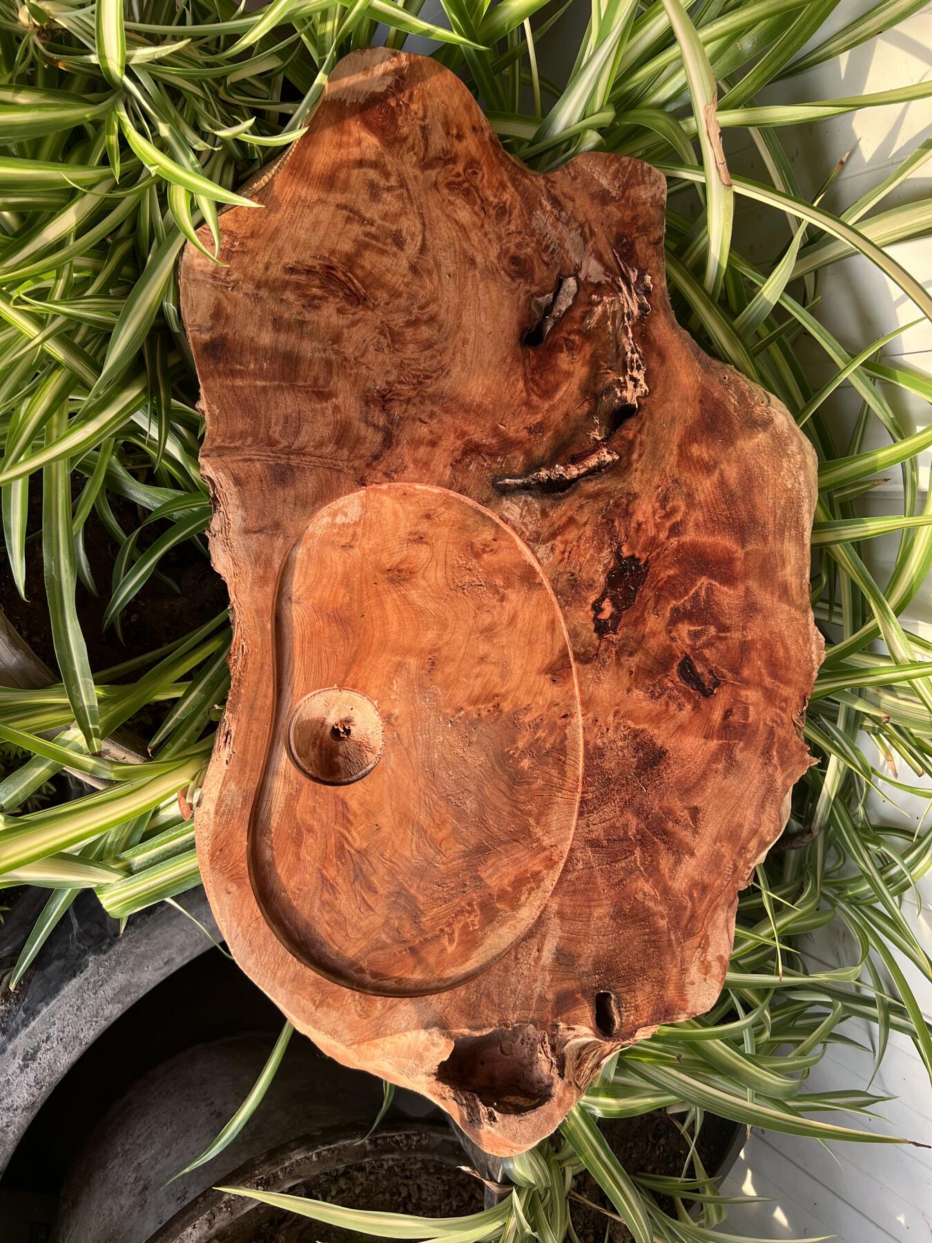 零元拍：香杉木老根榴茶盘，尺寸约：475/280/40MM，满花，药香满鼻，因为没有上漆，干燥天气可能会产生裂纹，属于正常现象